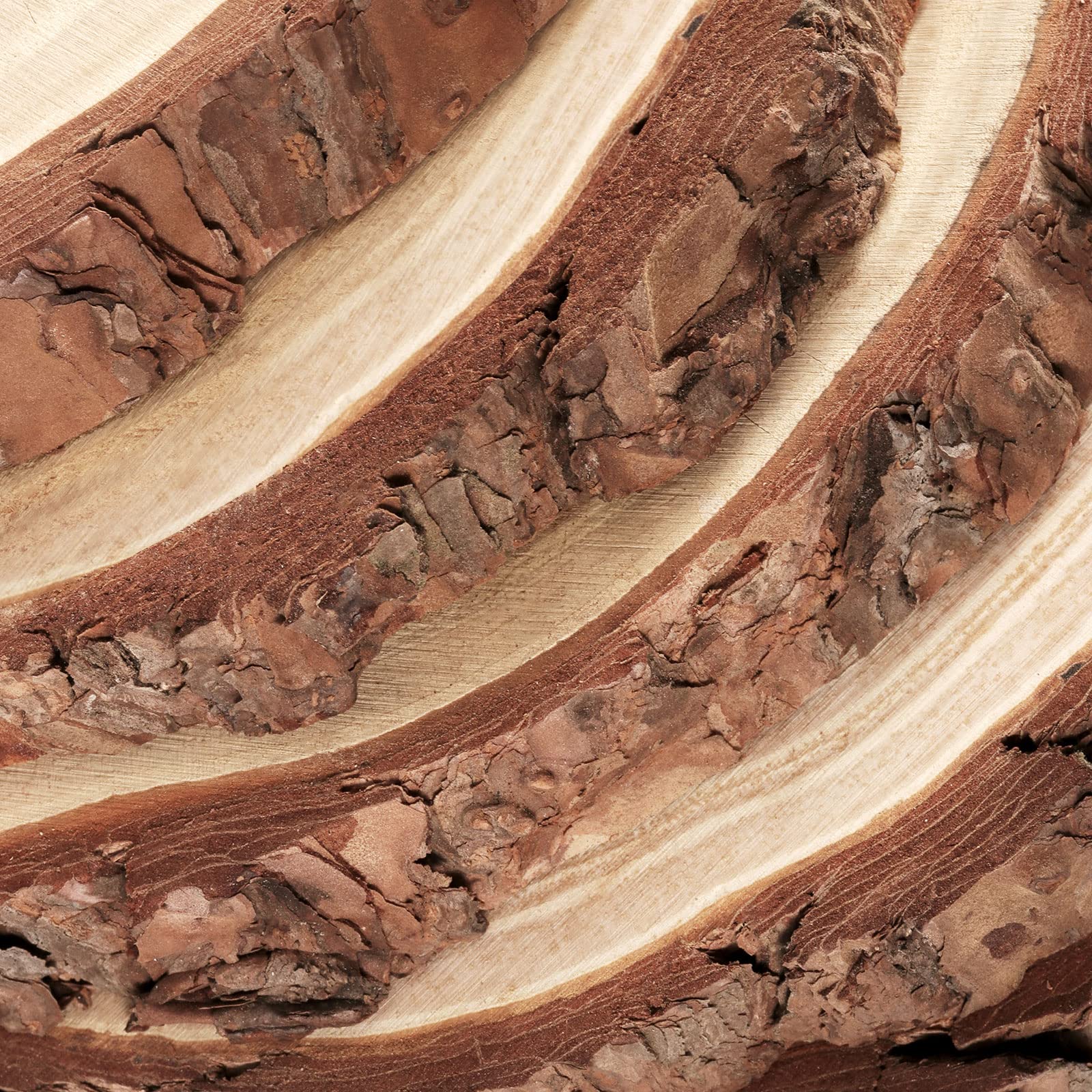 PINGEUI 6-Piece Natural Pine Wood Slices | 9-10 Inch Unfinished Wood Rounds