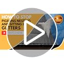 Defender Bird Spikes | 3m Gutter Spikes for Pigeons & Seagulls