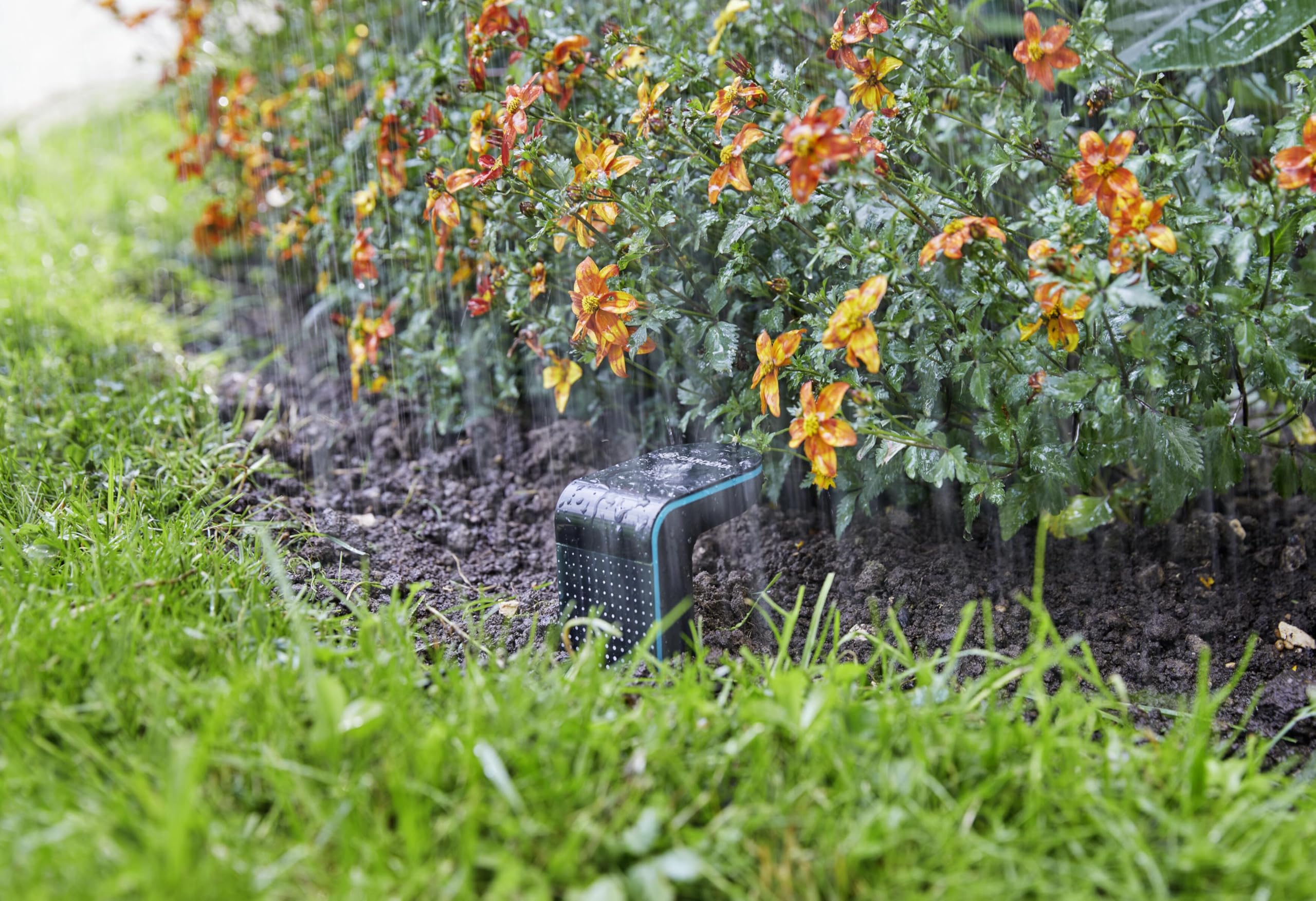 Gardena Smart Sensor – Intelligent Soil Moisture and Temperature Meter