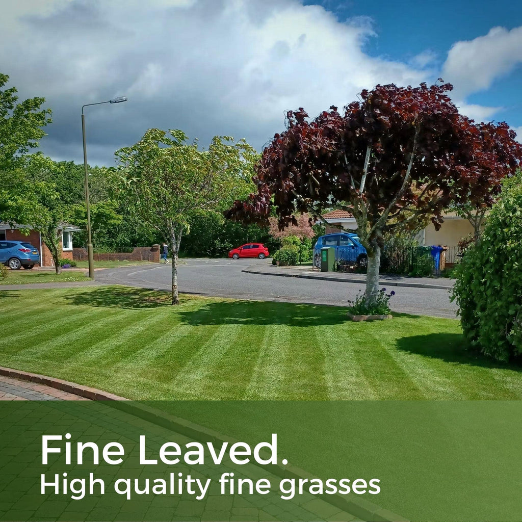Shade & Sun Grass Seed – Shady Mix Lawn Seed - 5kg