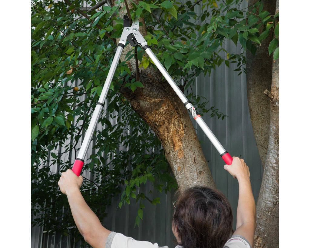 Kimura Pro Heavy Duty Ratchet Garden Loppers | Telescopic Anvil Pruners