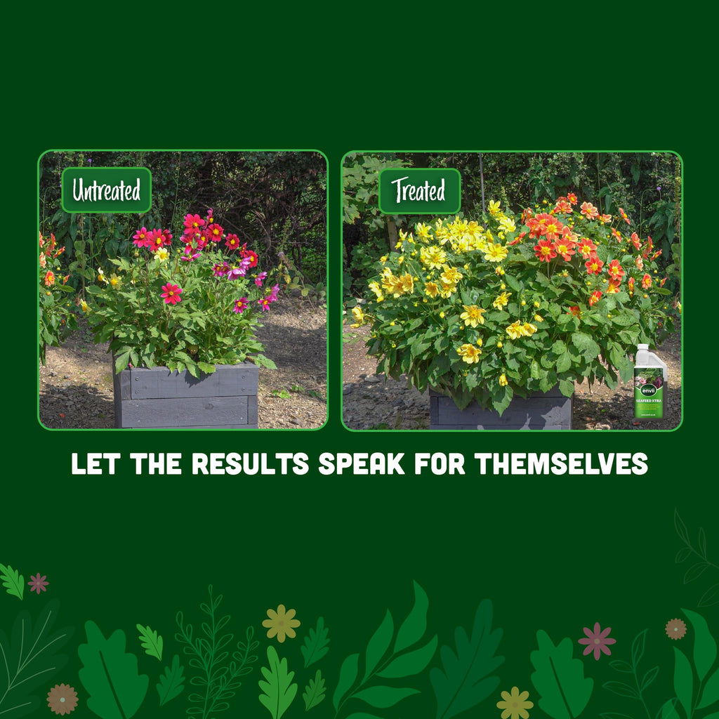 Envii SeaFeed Xtra | Organic Liquid Seaweed Fertiliser for All Plants