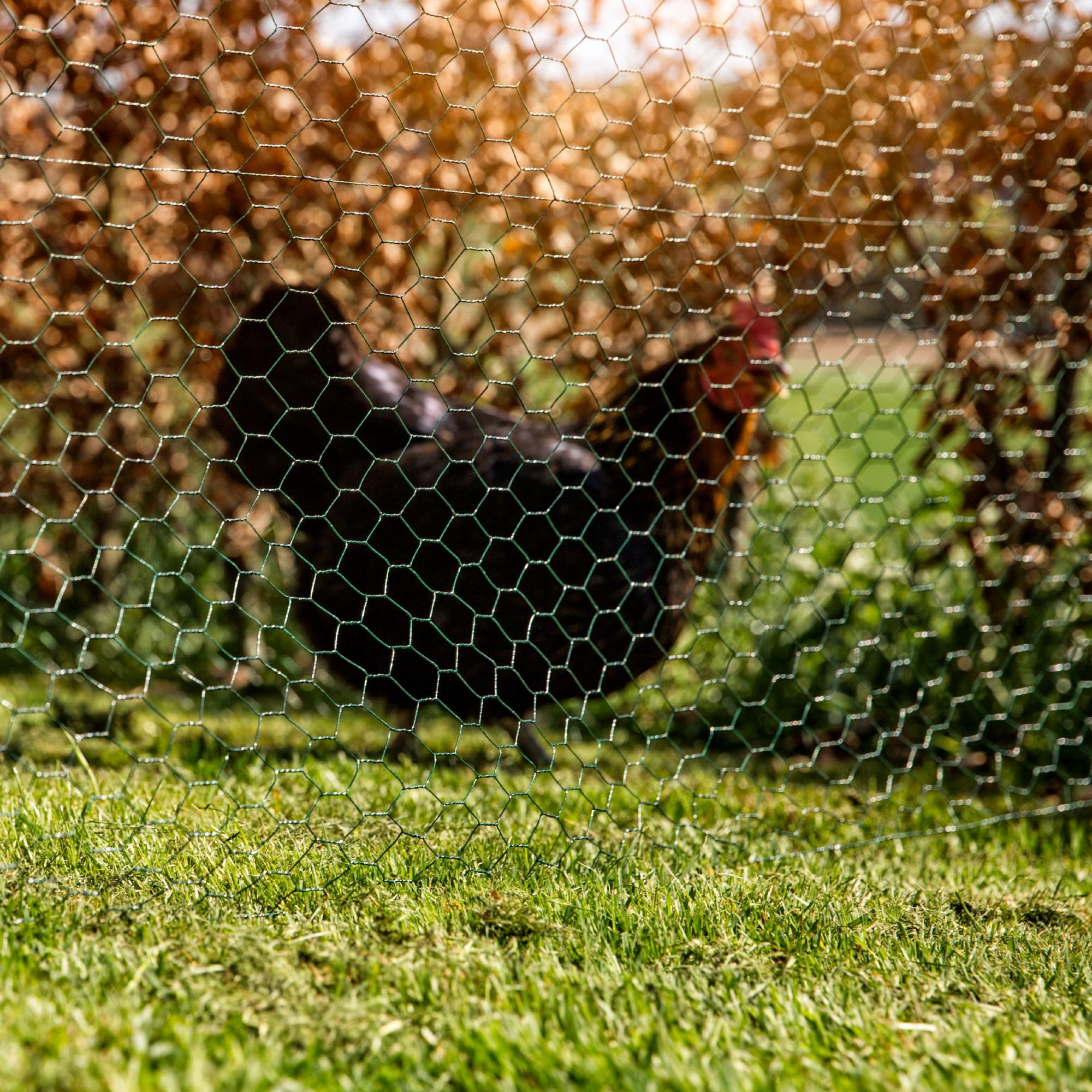 Windhager Hexagonal Wire Mesh – Green Plastic-Coated Fencing, 10x1m