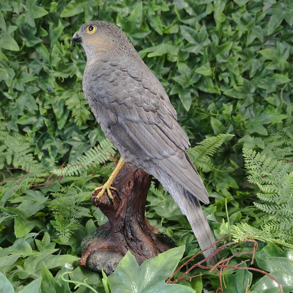 Vivid Arts Sparrow Hawk Garden Ornament - Realistic Resin Bird Sculpture