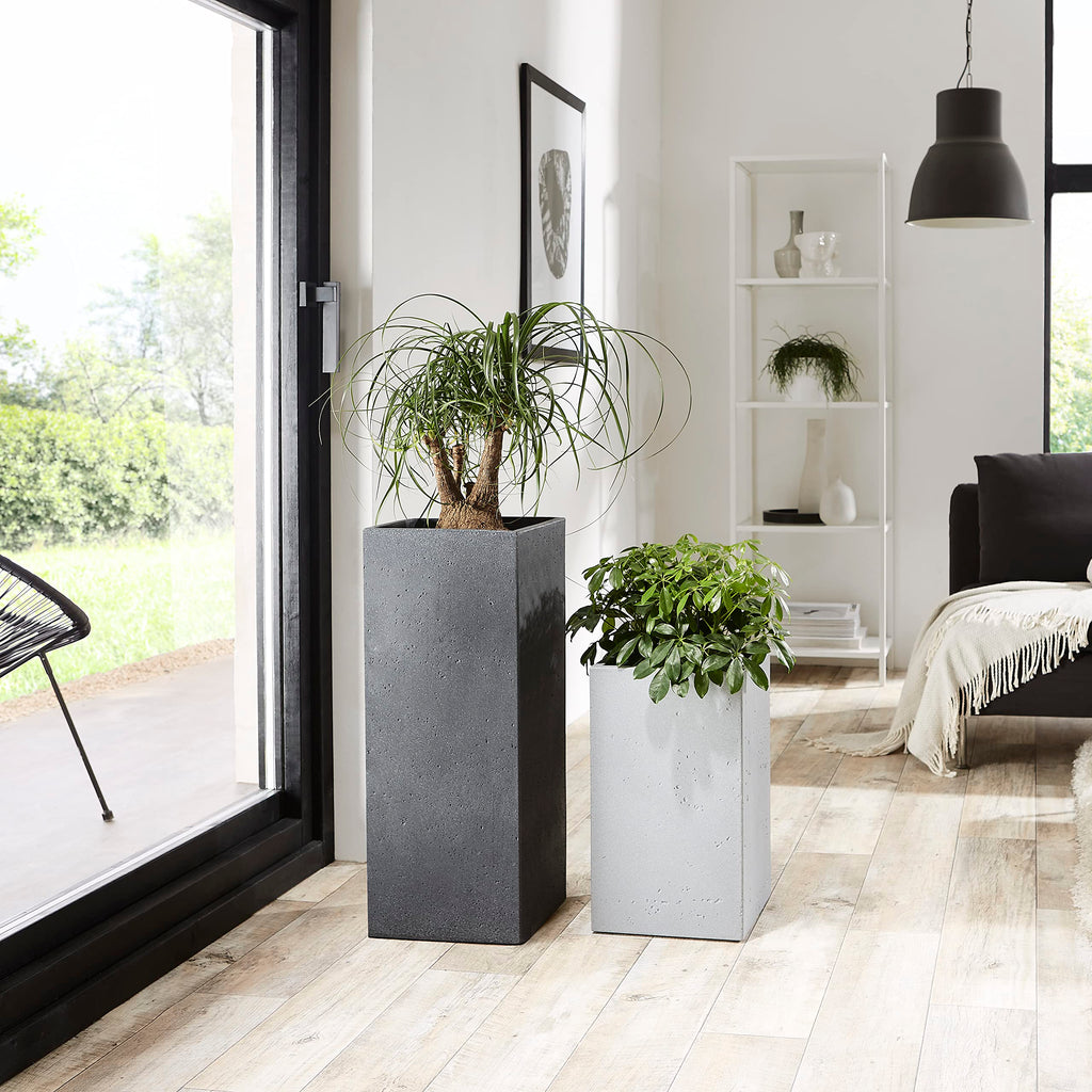 Scheurich Stony Black Tall Square Planter – Concrete Look Outdoor Pot