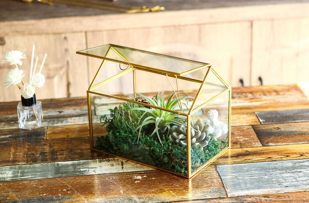 Jolof Store House Shape Glass Geometric Terrarium – Gold Succulent Planter