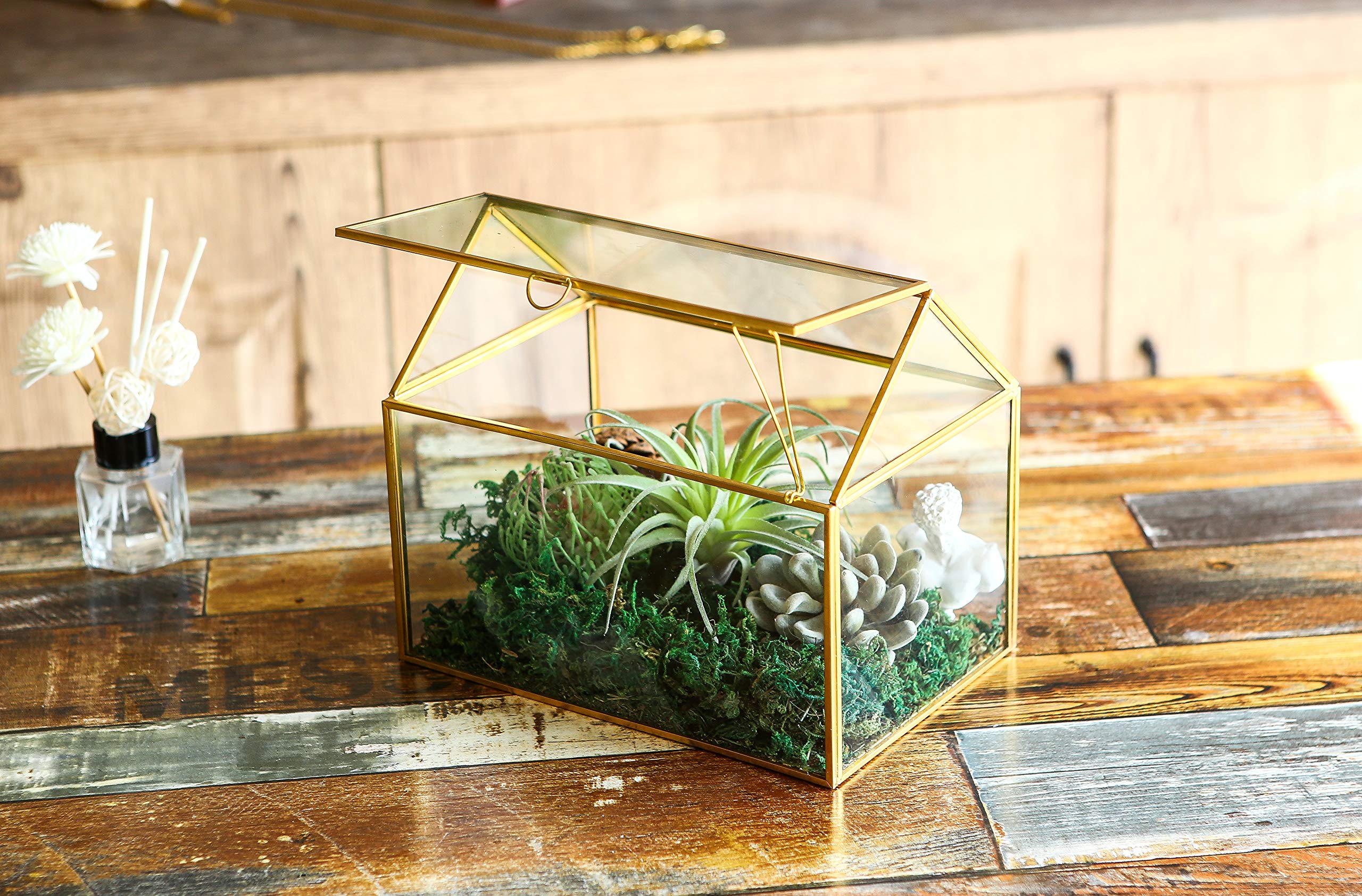 Jolof Store House Shape Glass Geometric Terrarium – Gold Succulent Planter