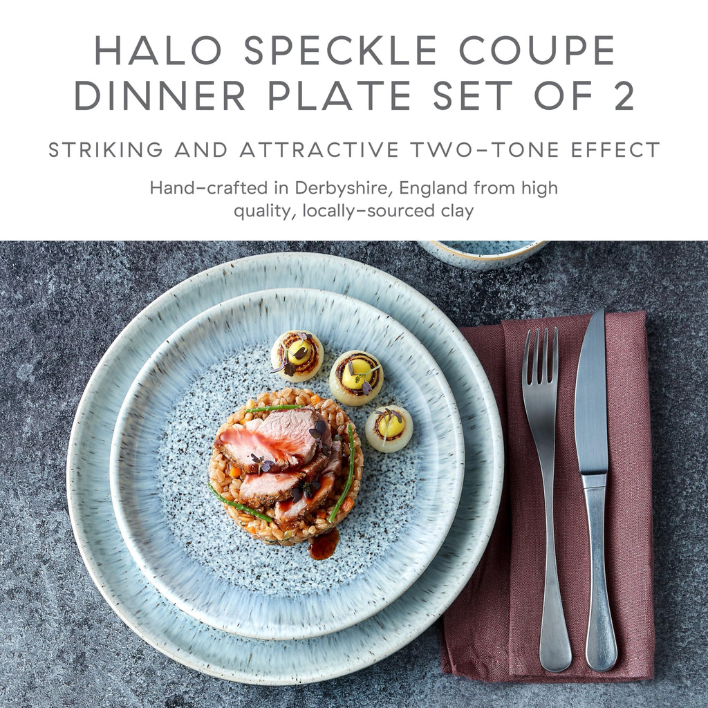 Denby Halo Speckle Dinner Plates - Set of 2 Grey Stoneware Coupe 26cm