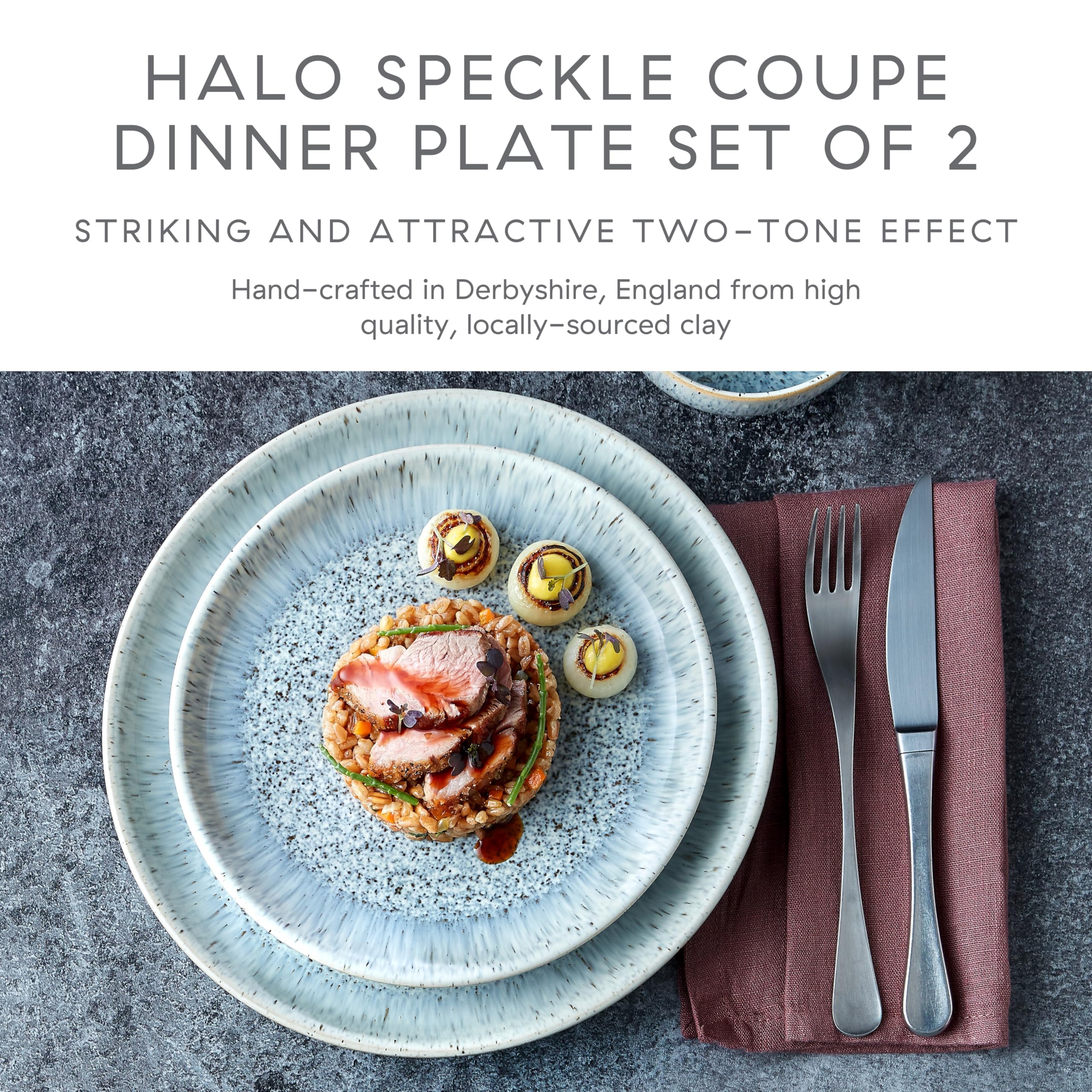 Denby Halo Speckle Dinner Plates - Set of 2 Grey Stoneware Coupe 26cm