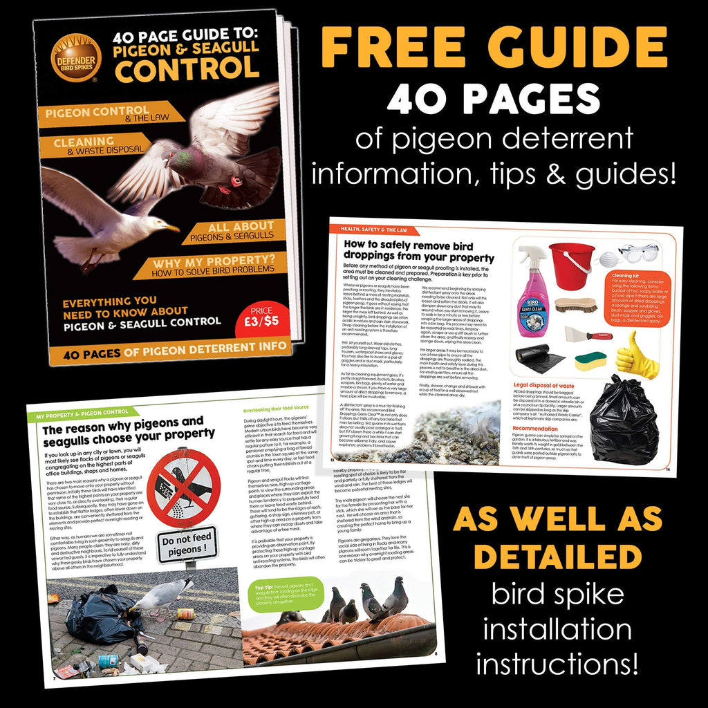 Defender Wide Plastic Bird Spikes - 6 Metre Pigeon Deterrent Kit