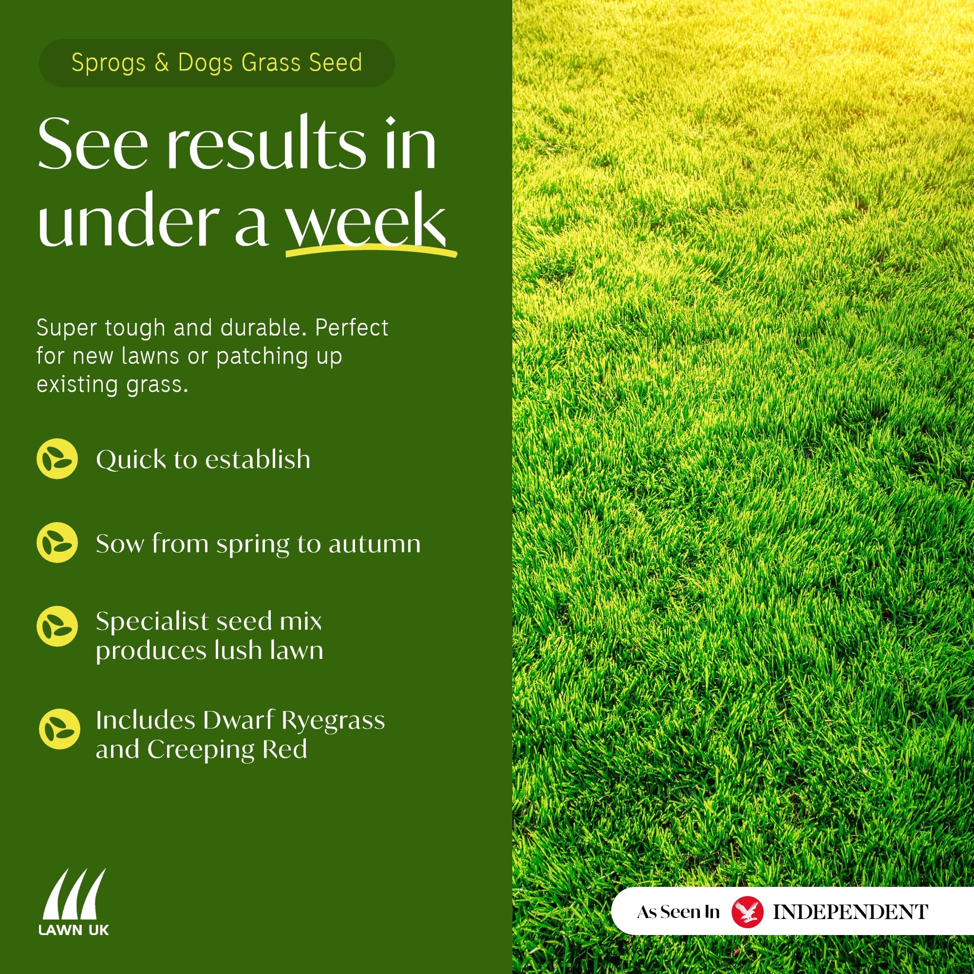 Lawn UK Sprogs & Dogs Hardwearing Grass Seed – 4kg Family Lawn Seed