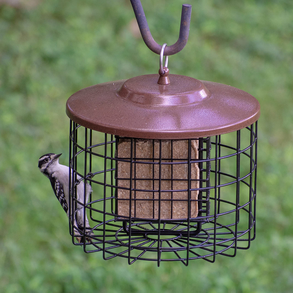 More Birds Squirrel-X Double Suet Feeder – Squirrel Proof Caged Steel