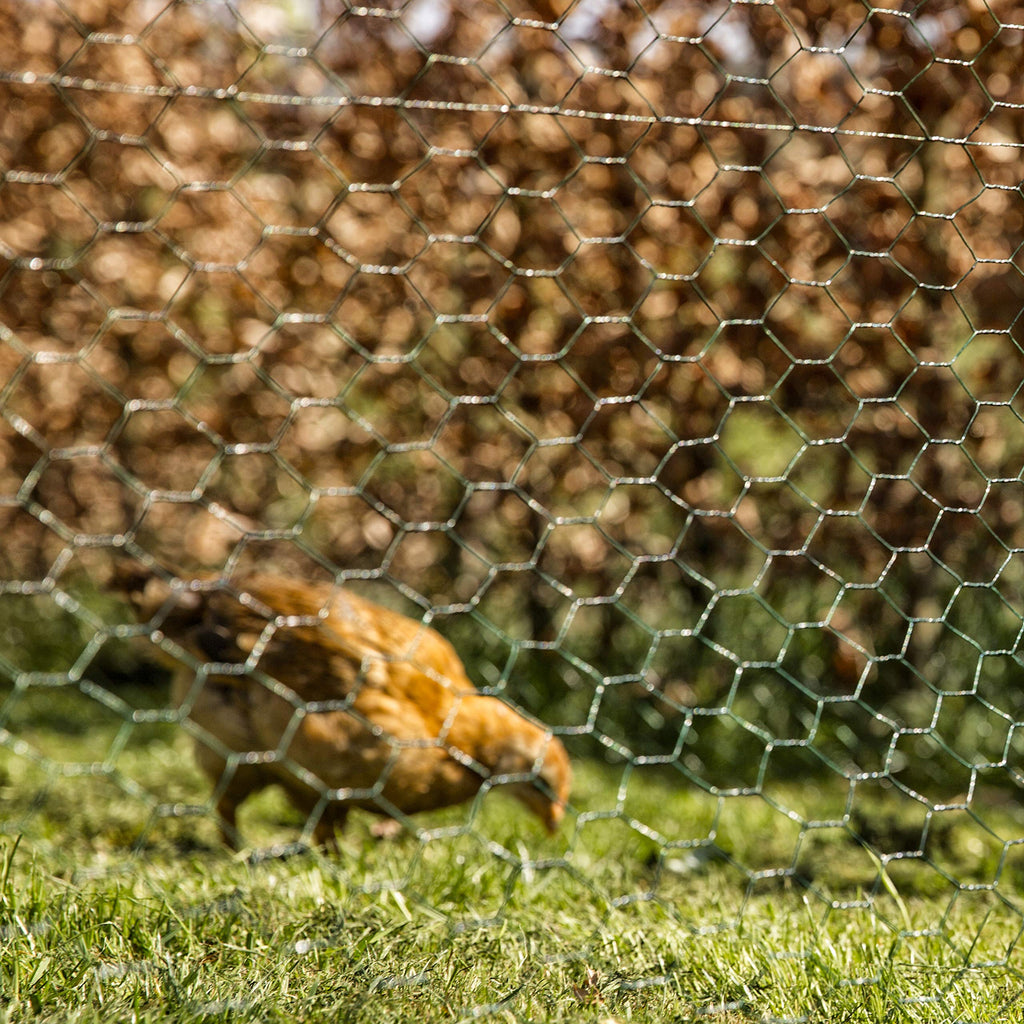 Windhager Green Hexagonal Mesh Steel Core Fencing - 25mm x 10m