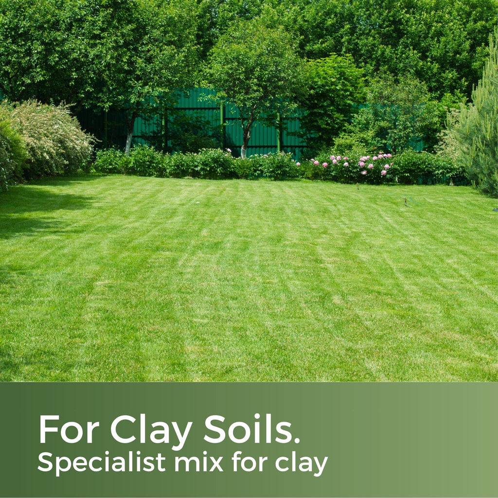 Clay King Grass Seed for Clay Soil – Deep Rooting & Drought Resistant – 5kg