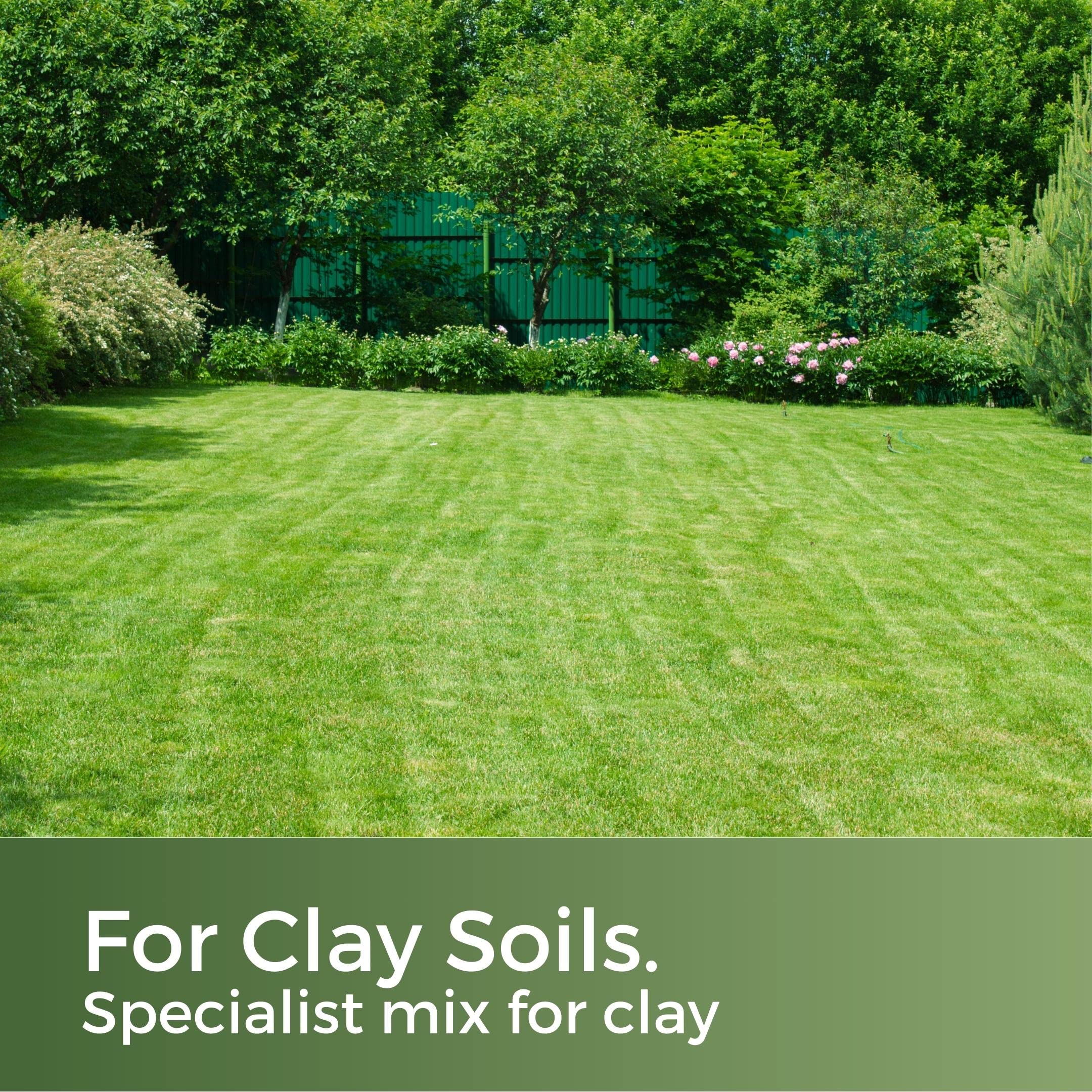 Clay King Grass Seed for Clay Soil – Deep Rooting & Drought Resistant – 5kg
