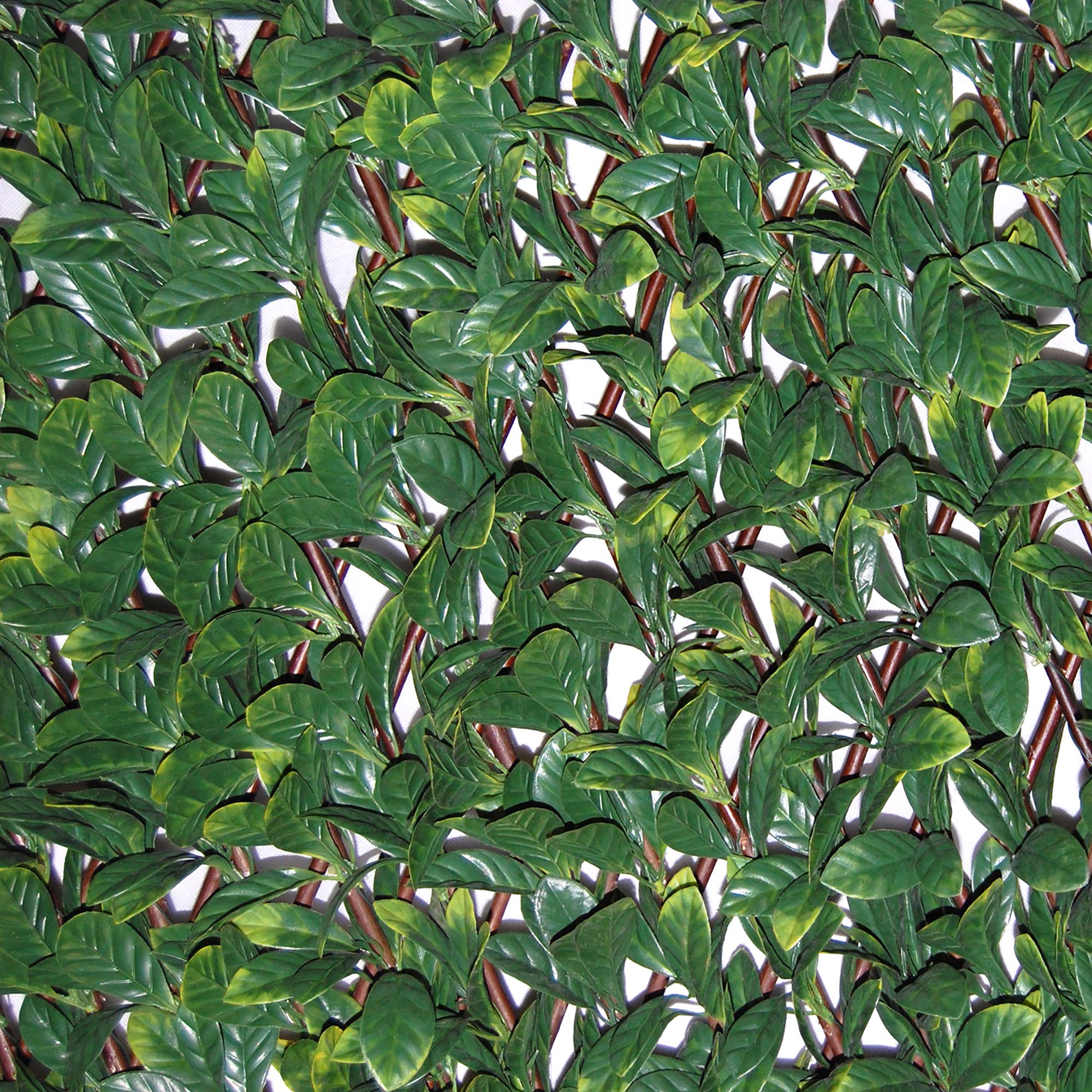 Tenax Synthetic Osmanthus Hedge on Extendible Wood Trellis - 1x2m Green