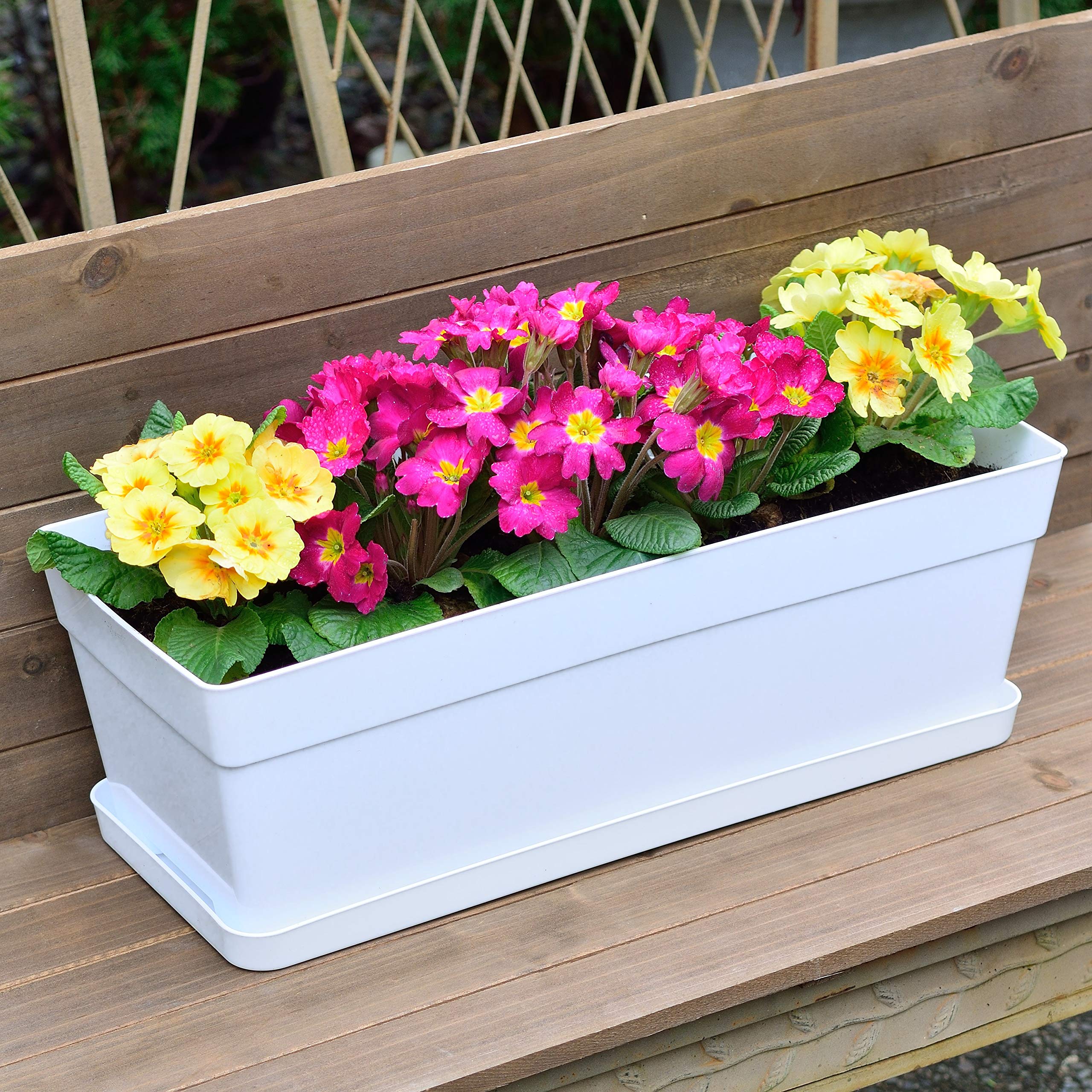 Youngever 3-Pack Plastic Window Box Planter with Tray, White – 38CM