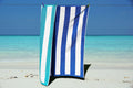 Large Cotton Velour Beach Towel – Quick Dry Sun Lounger Size