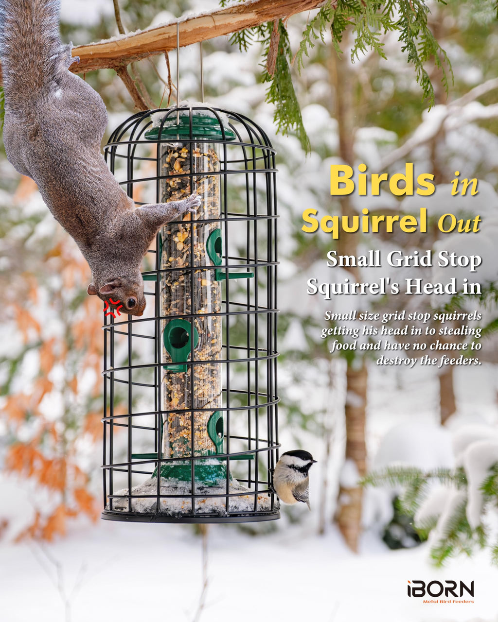 iBorn Squirrel Proof Bird Feeder – Heavy Duty Metal Hanging Cage, 14 Inch