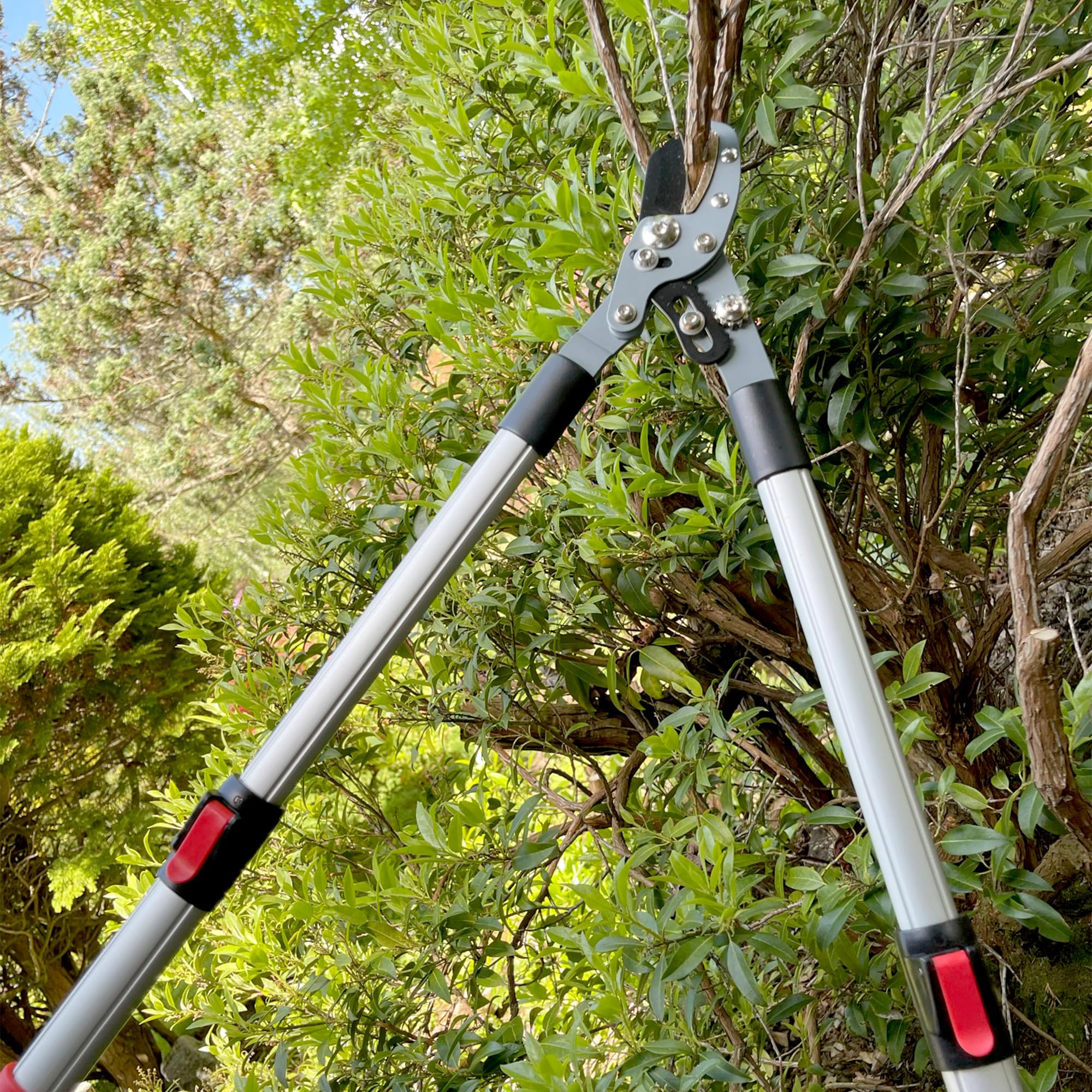 Darlac Telescopic Anvil Garden Loppers | SK5 Carbon Steel Branch Cutters