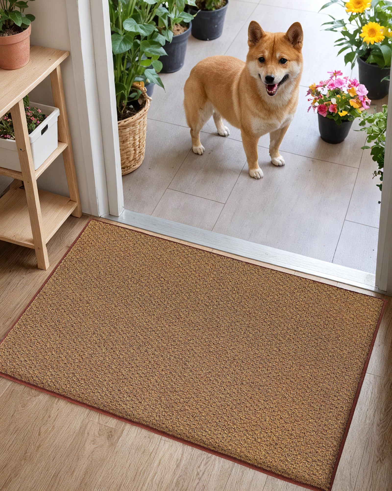 Color&Geometry Dirt Trapper Door Mat – Non-Slip Heavy Duty Washable Rug