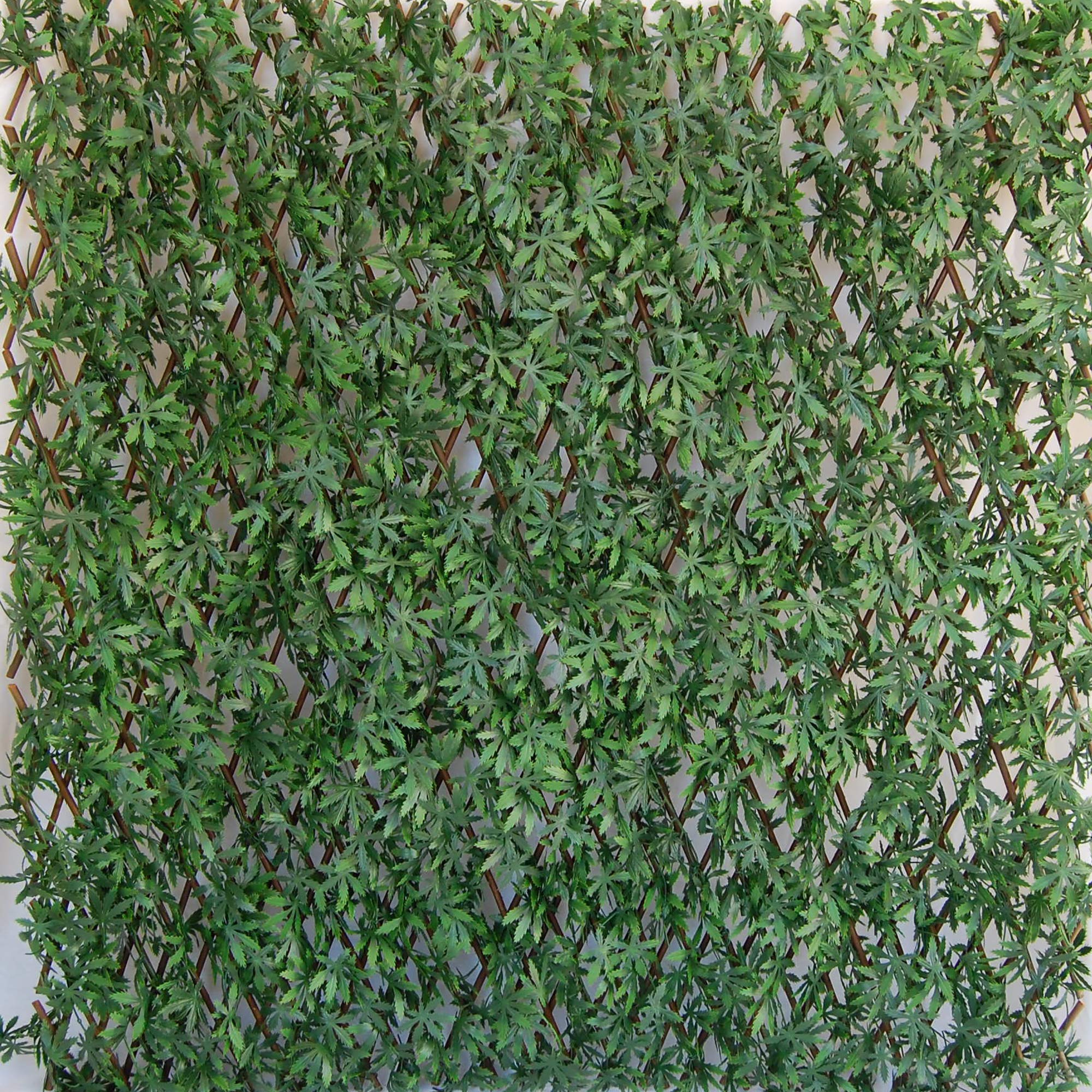 Tenax Divy 3D X-Tens Acer Palmatum Artificial Hedge Trellis, 1x2m