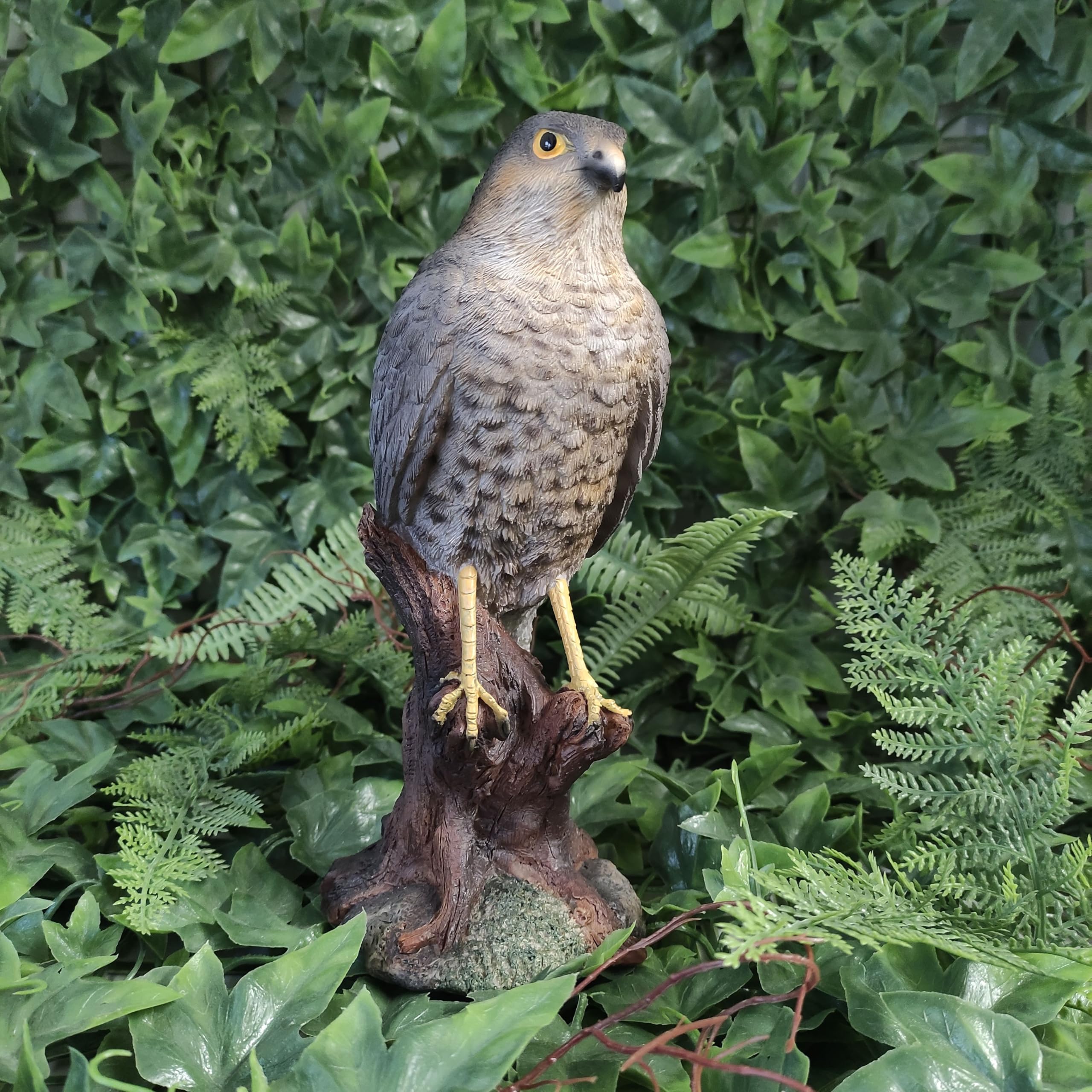 Vivid Arts Sparrow Hawk Garden Ornament - Realistic Resin Bird Sculpture