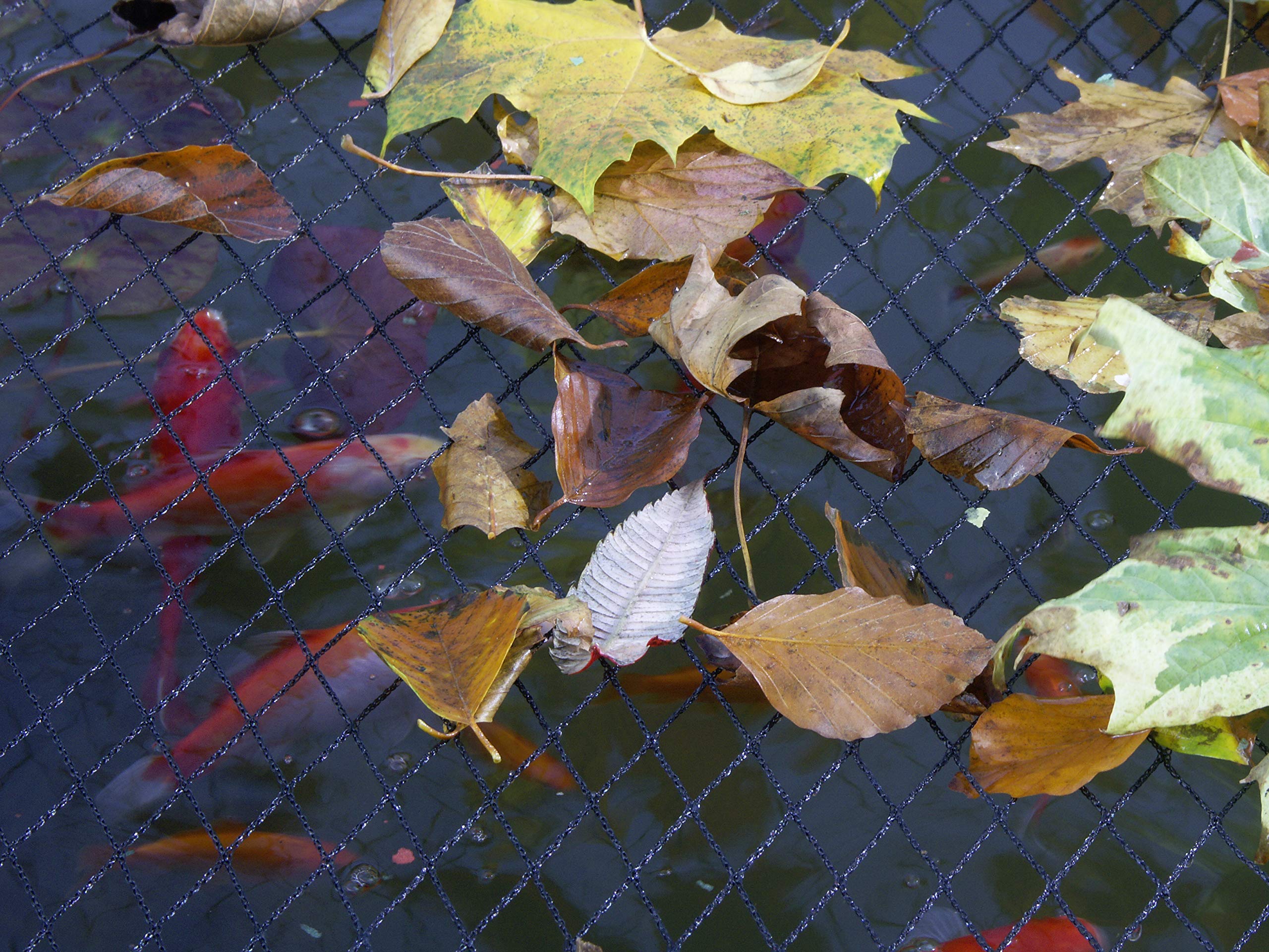 Blagdon Clearview Pond Cover Netting - Black Double Weave - 6m x 5m