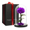 LOVAPPY Preserved Real Rose in Glass Dome – Beauty and the Beast Gift