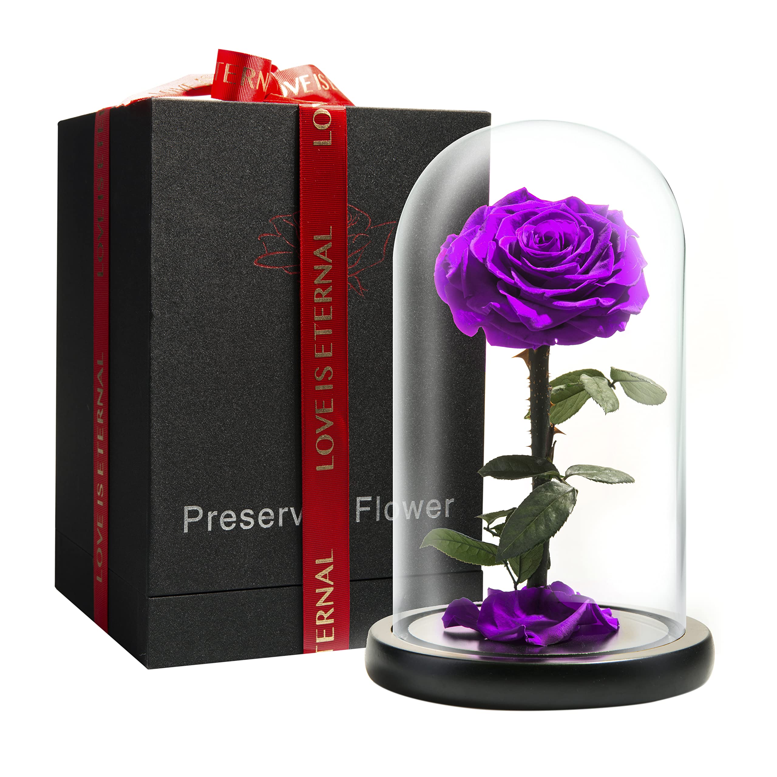 LOVAPPY Preserved Real Rose in Glass Dome – Beauty and the Beast Gift