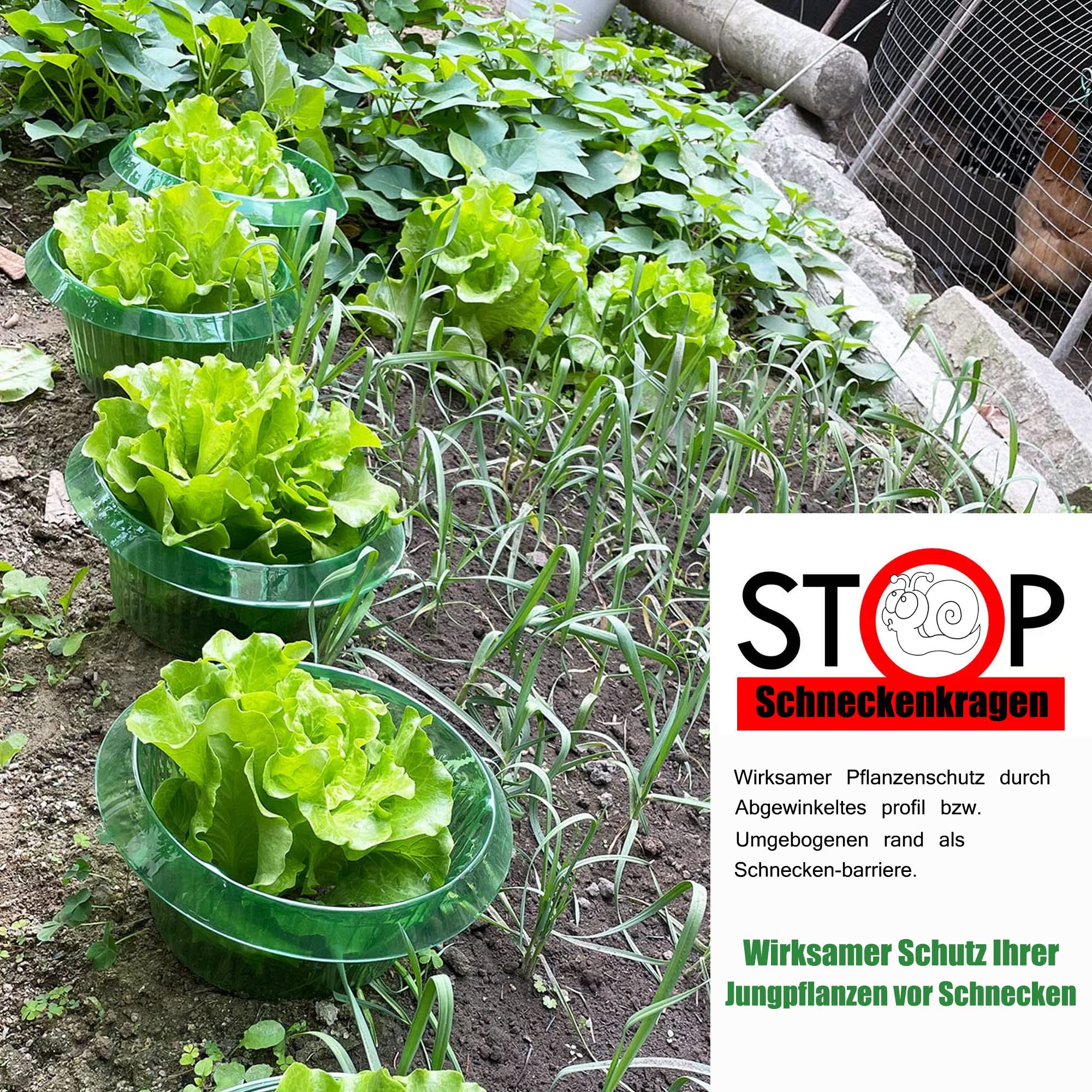 Smaxcn Snail Protection Rings – 20 Pack Plastic Snail Collar Garden Fence