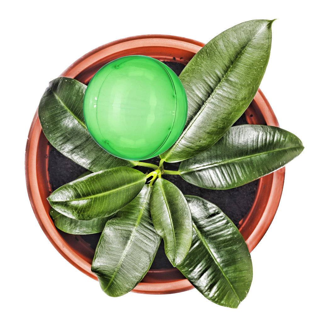 Relaxdays Watering Globes – Set of 4 Plastic Self-Watering Bulbs, 8cm