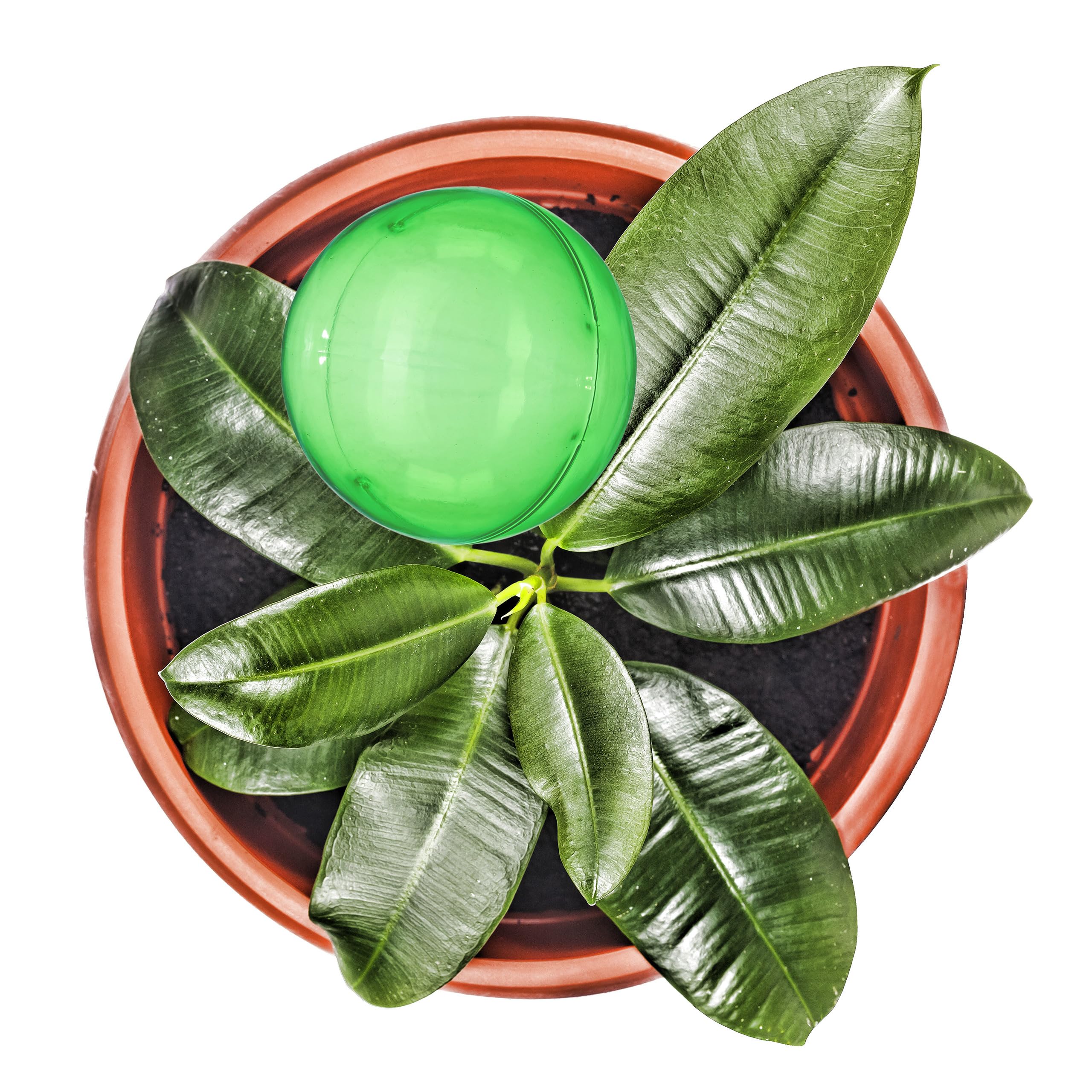 Relaxdays Watering Globes – Set of 4 Plastic Self-Watering Bulbs, 8cm