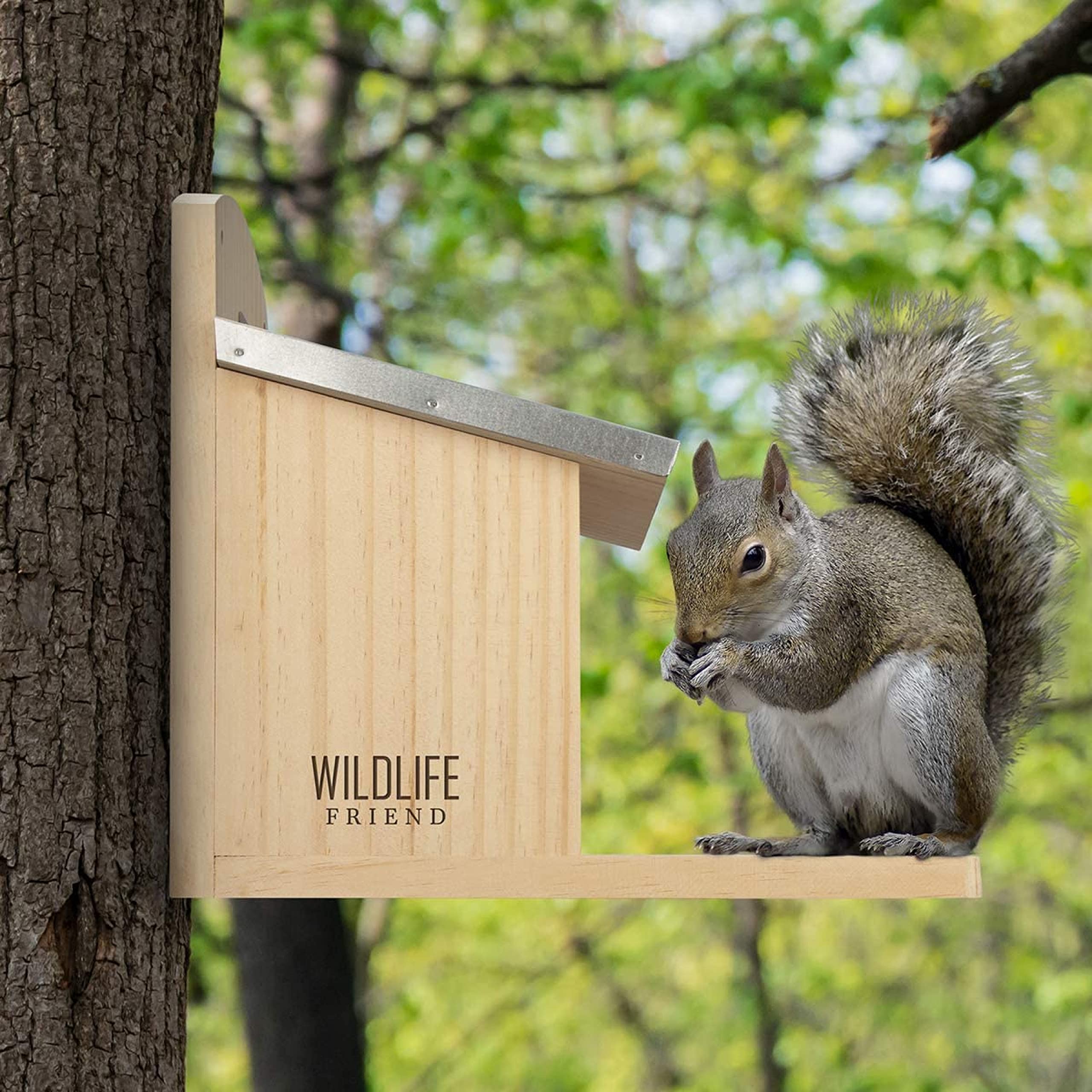 Squirrel Feeder Maxi – Extra Large Wooden Feeding Station
