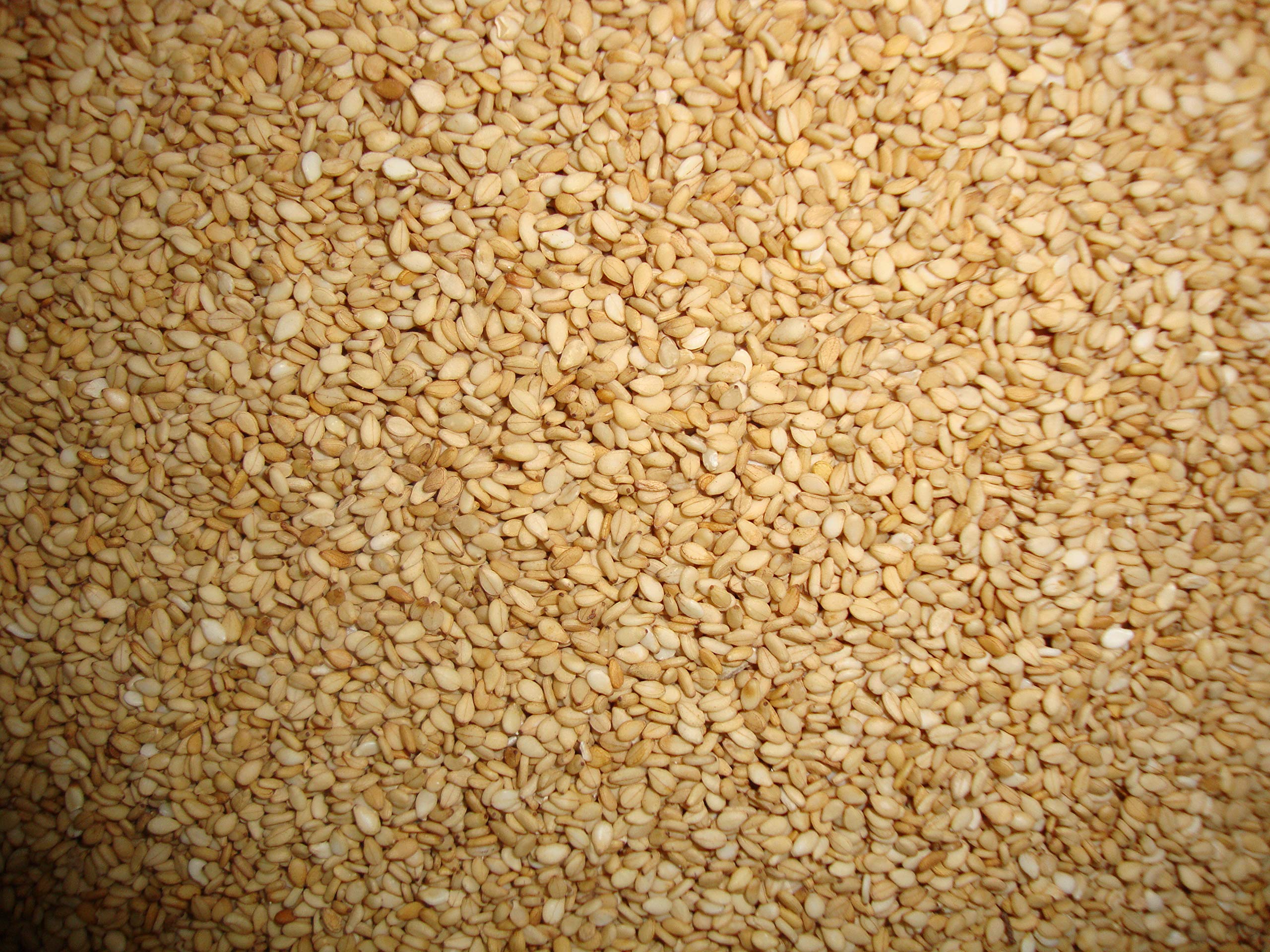 Roasted Sesame Seeds – Bulk Gourmet Pantry Staple, 4.4 Lbs
