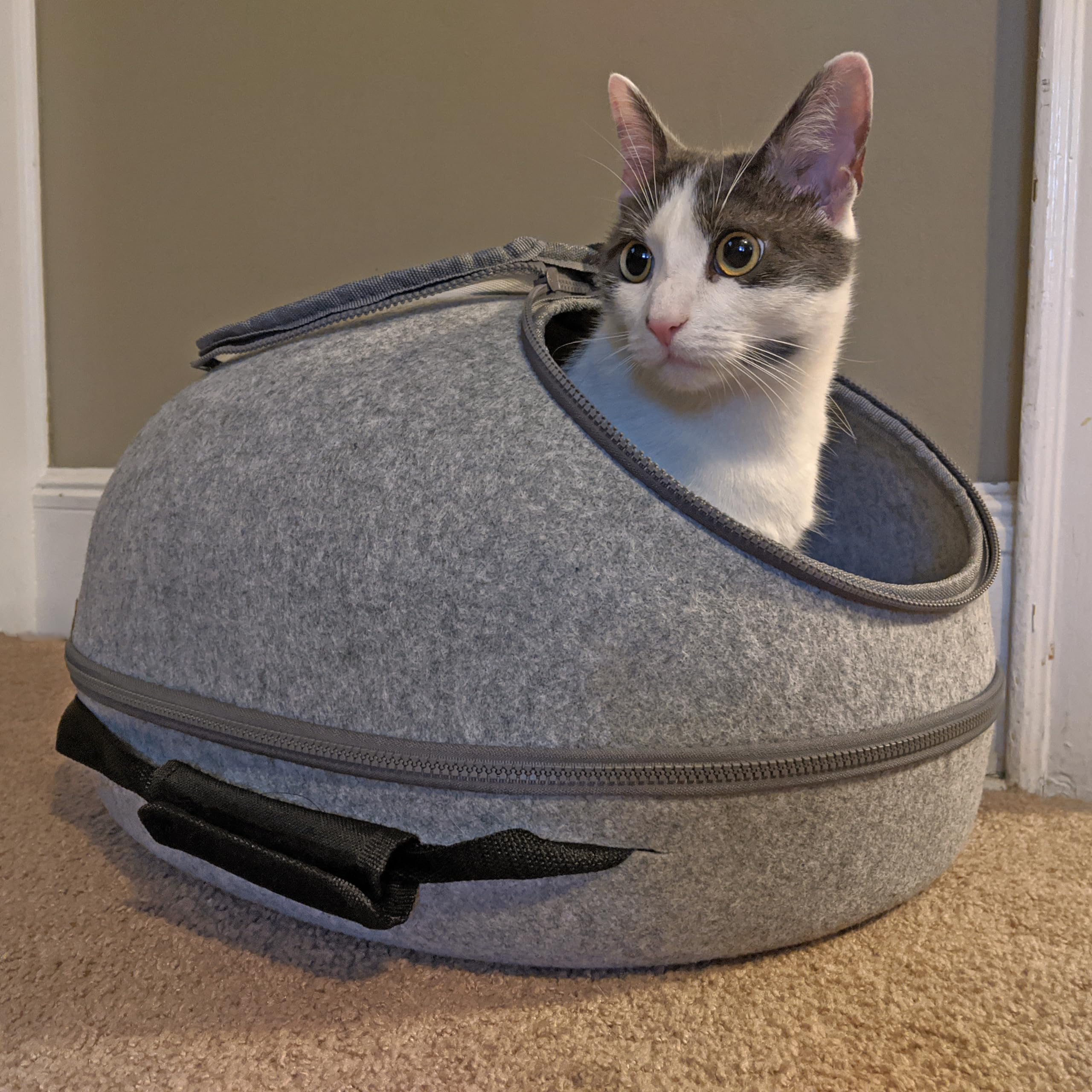 Doc & Phoebe Sleep and Go – Convertible Cat Bed and Pet Carrier, Grey