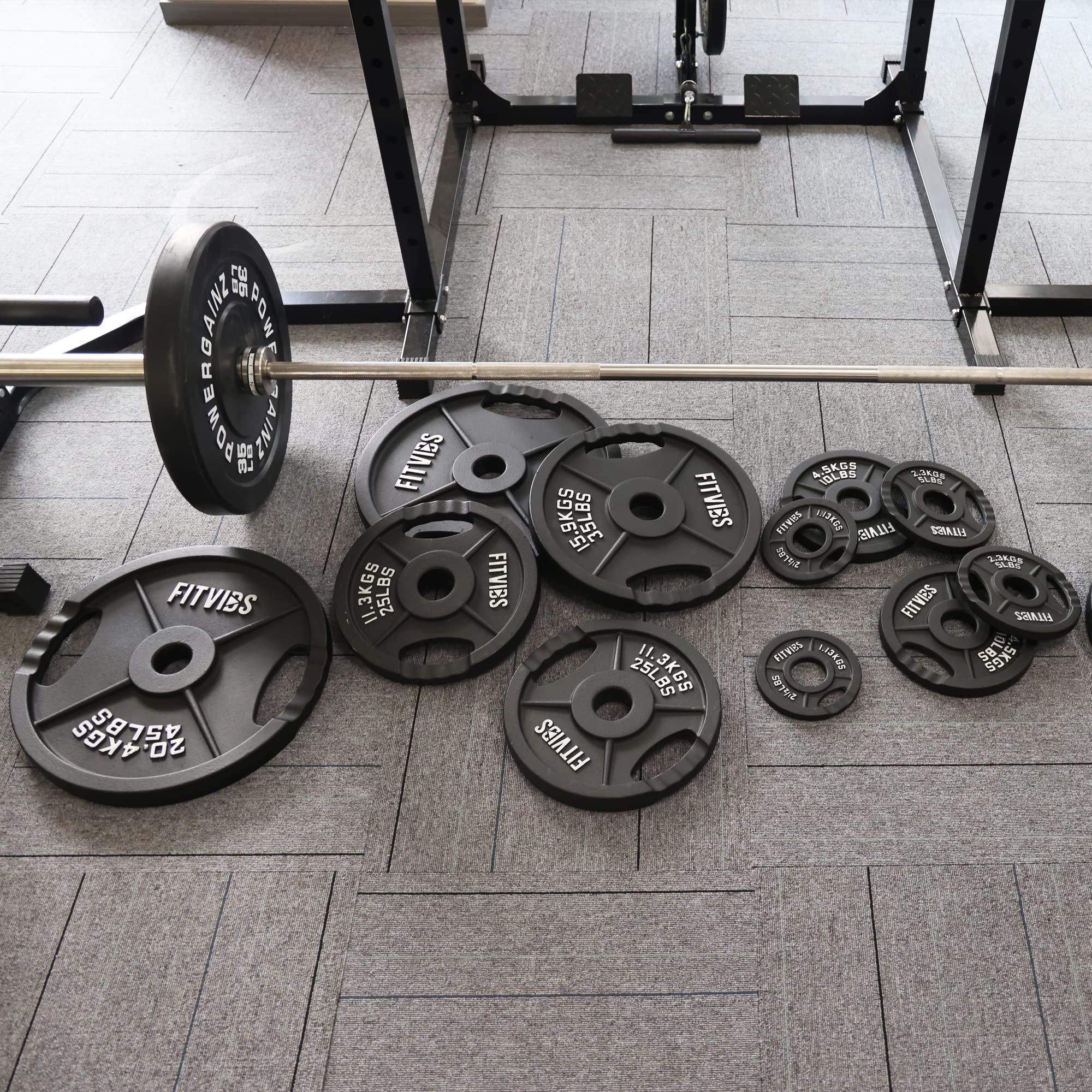 Signature Fitness 25LB Cast Iron Olympic Weight Plates - Pair