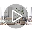 3Pcs Artificial Ficus Branches | 43.3in Faux Greenery Stems