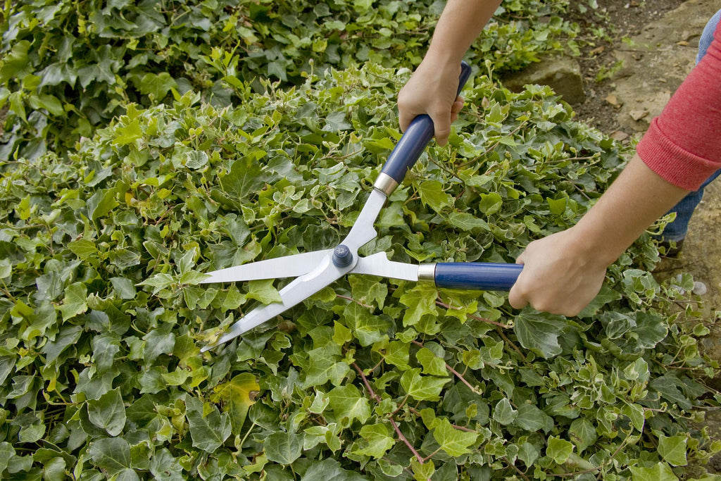 Spear & Jackson Razorsharp Garden Shears – Carbon Steel Wood Handle