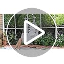 Chihee Hammock Chair – Portable Hanging Swing with Metal Spreader Bar