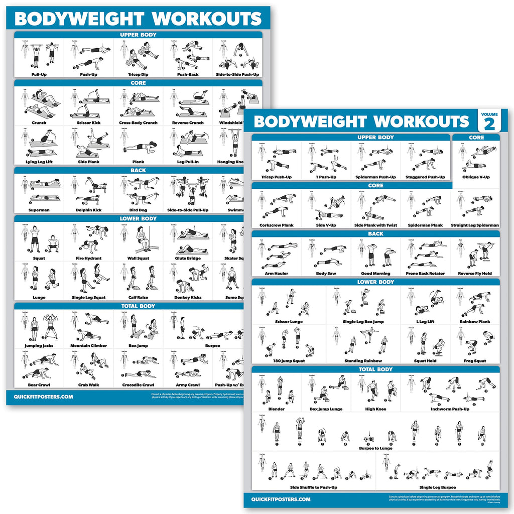 QuickFit 10 Pack Laminated Exercise Workout Poster Set | 18" x 27"