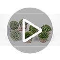Jolof Store 3-Piece Artificial Potted Plants – Realistic Faux Greenery