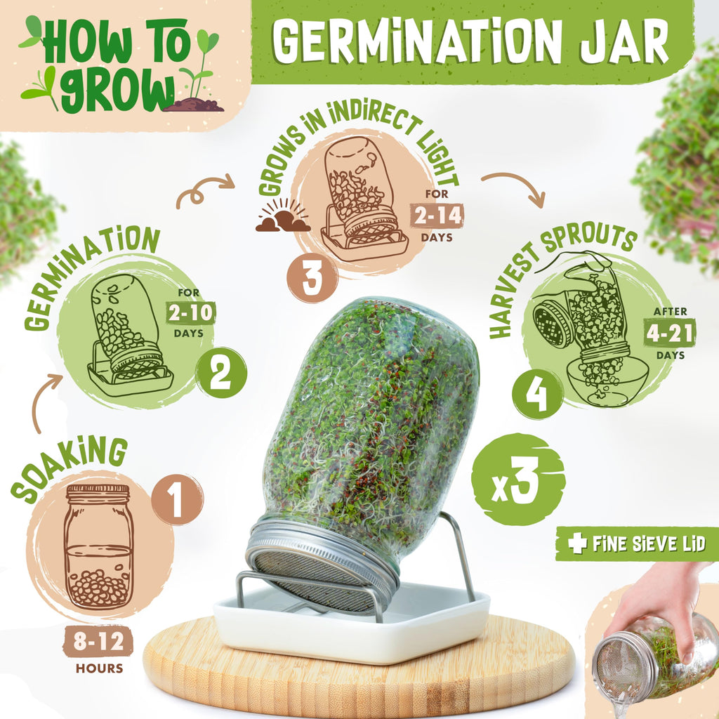 ZenGreens Organic Sprout Jar Set with Seeds, Tray & Video Course