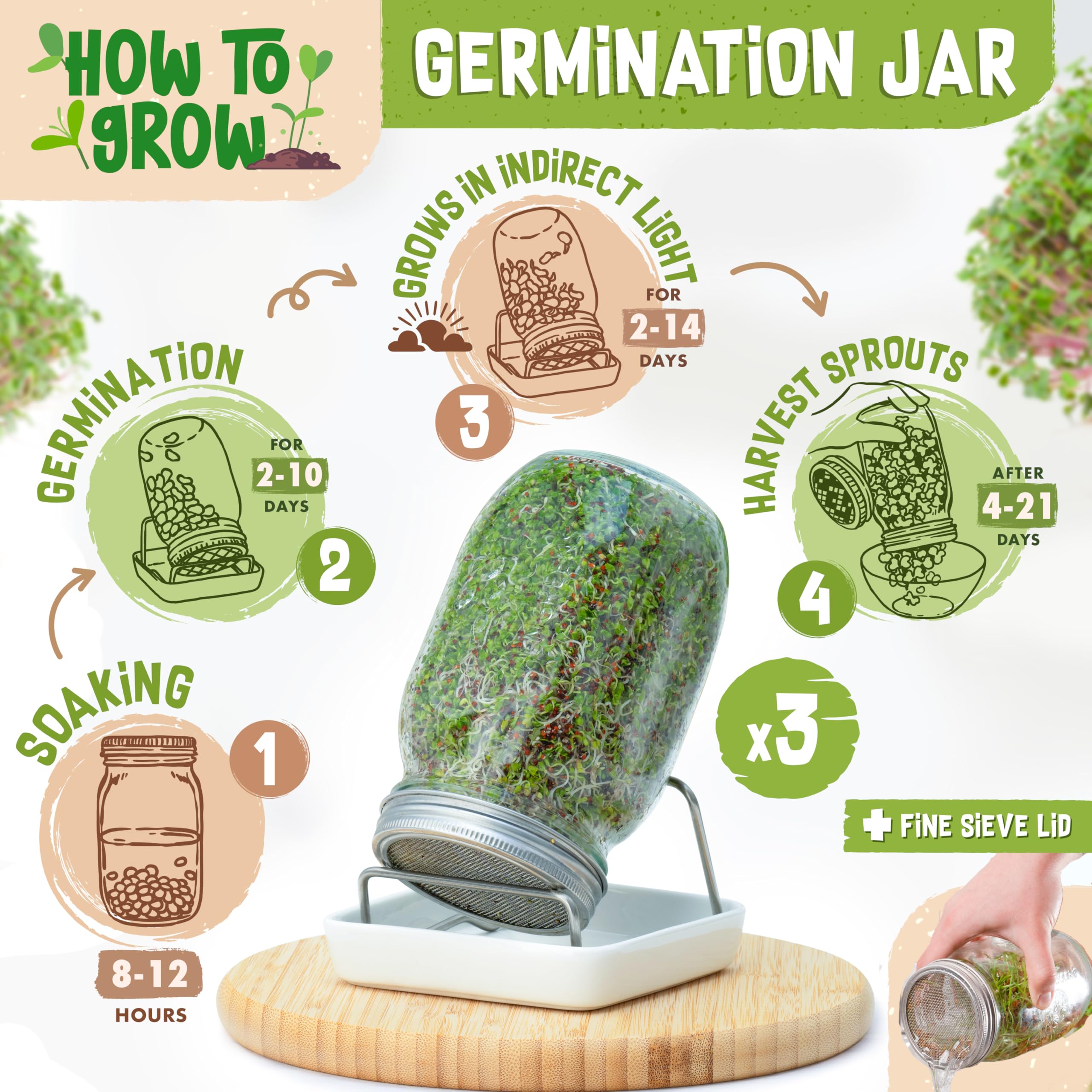 ZenGreens Organic Sprout Jar Set with Seeds, Tray & Video Course