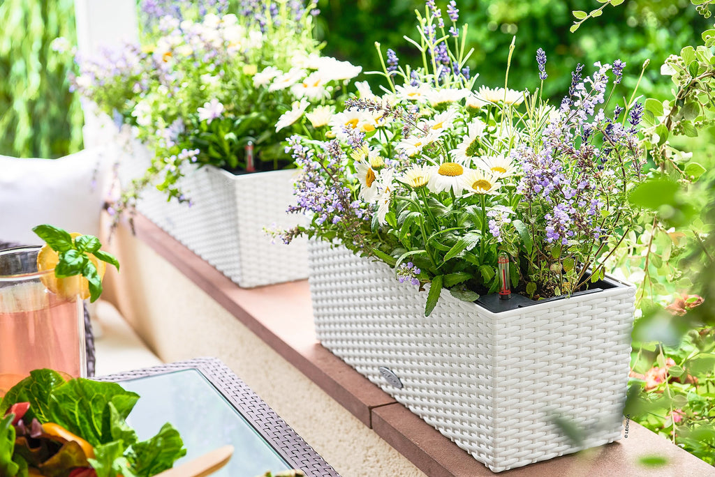 Lechuza BALCONERA Cottage 50 Self-Watering Rattan Planter – White
