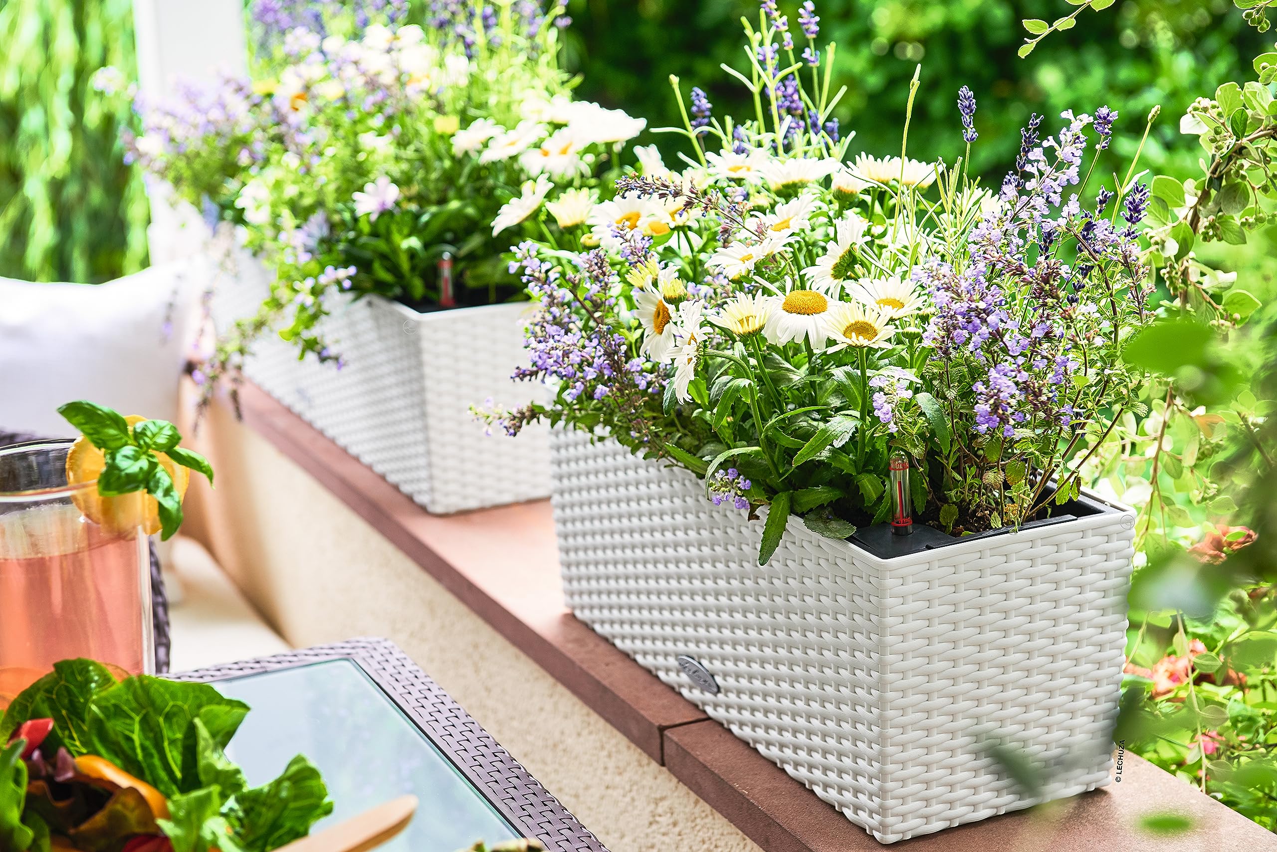 Lechuza BALCONERA Cottage 50 Self-Watering Rattan Planter – White