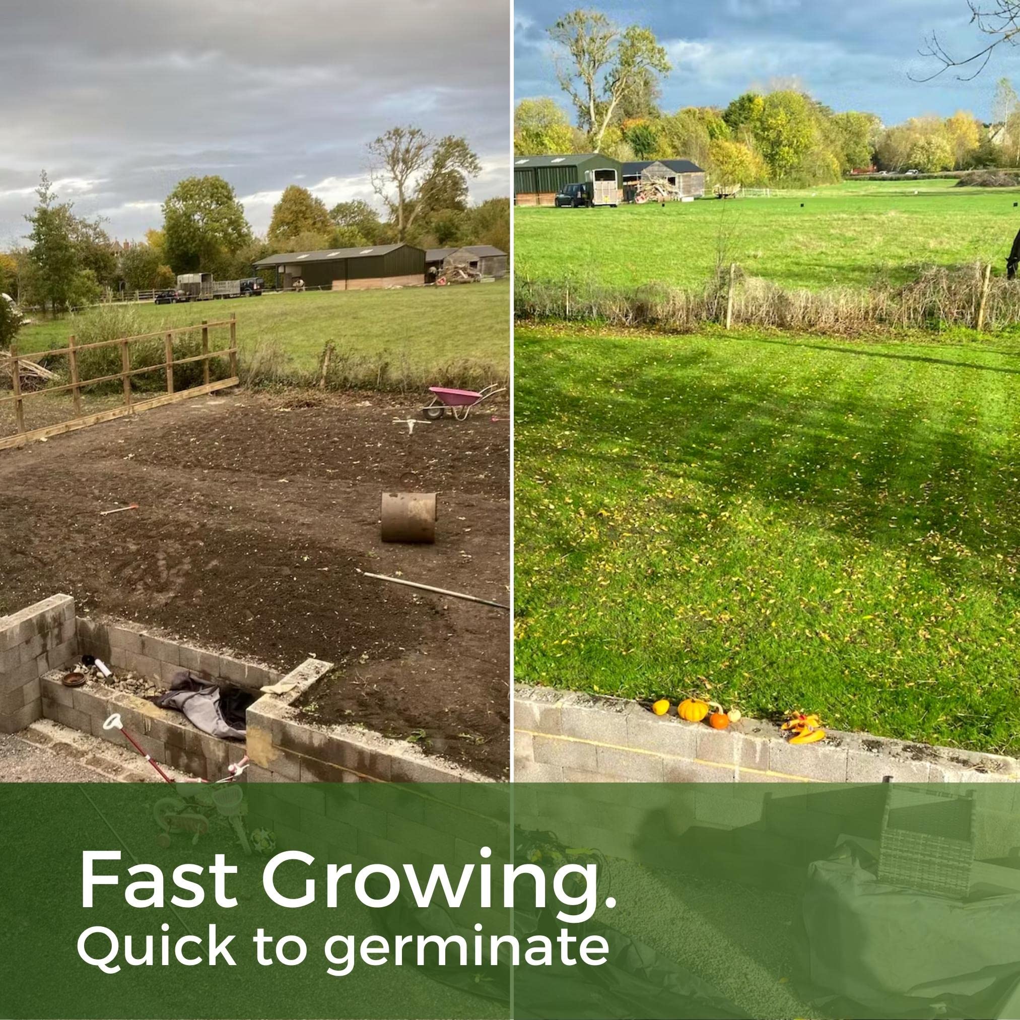 ColdPro Winter Grass Seed - Fast Growing & Hard Wearing (5kg)