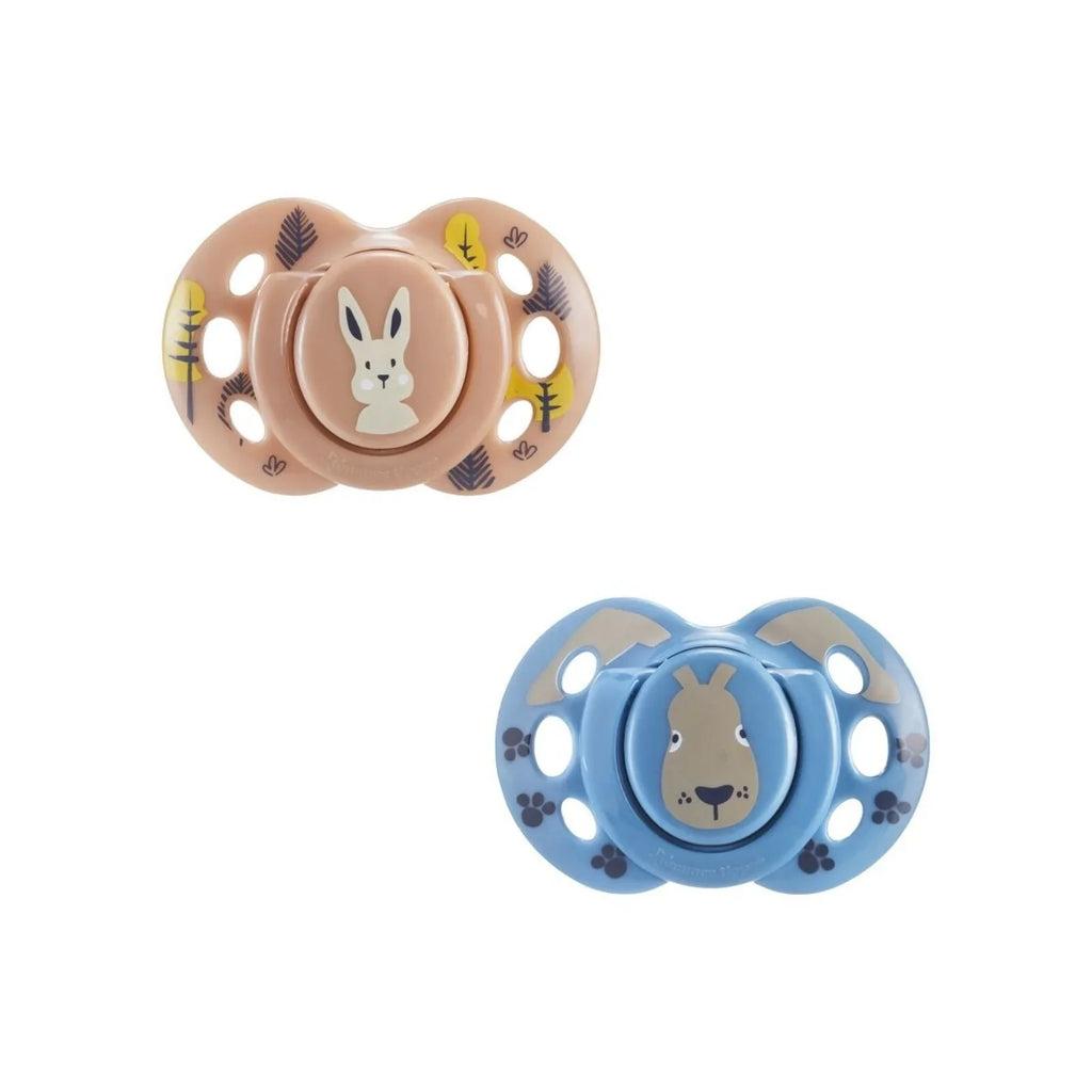 Tommee Tippee Fun Style Soother 18-36 months Pack of 2 Assorted