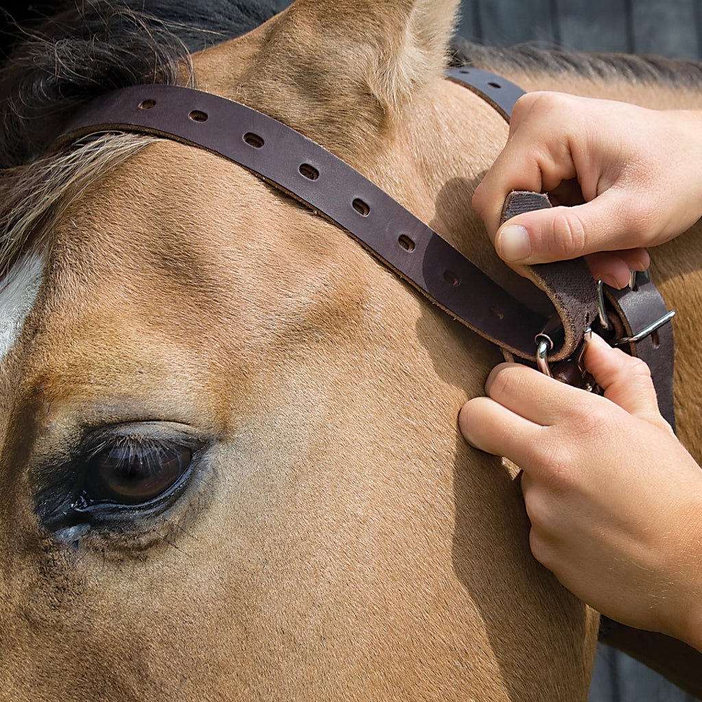 Weaver Leather Miracle Collar | Anti-Cribbing Horse Collar - Havana, Small