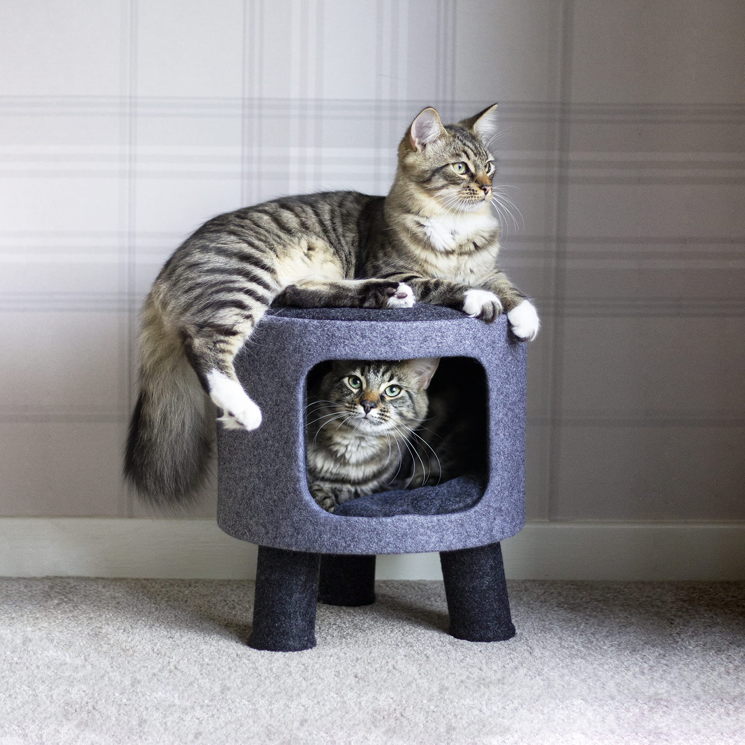 Rosewood Catwalk Charcoal Felt Cat Stool – Modern Pet Hideaway Bed